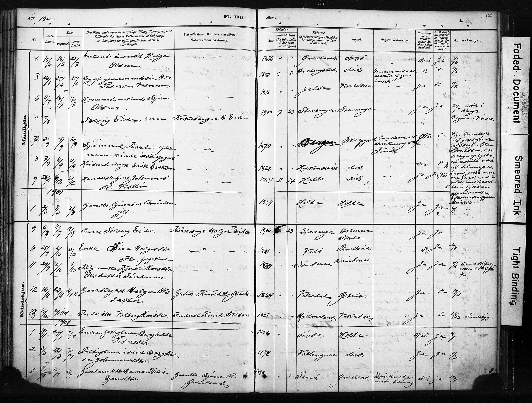 Vikedal sokneprestkontor, AV/SAST-A-101840/01/IV: Parish register (official) no. A 10, 1884-1907, p. 163