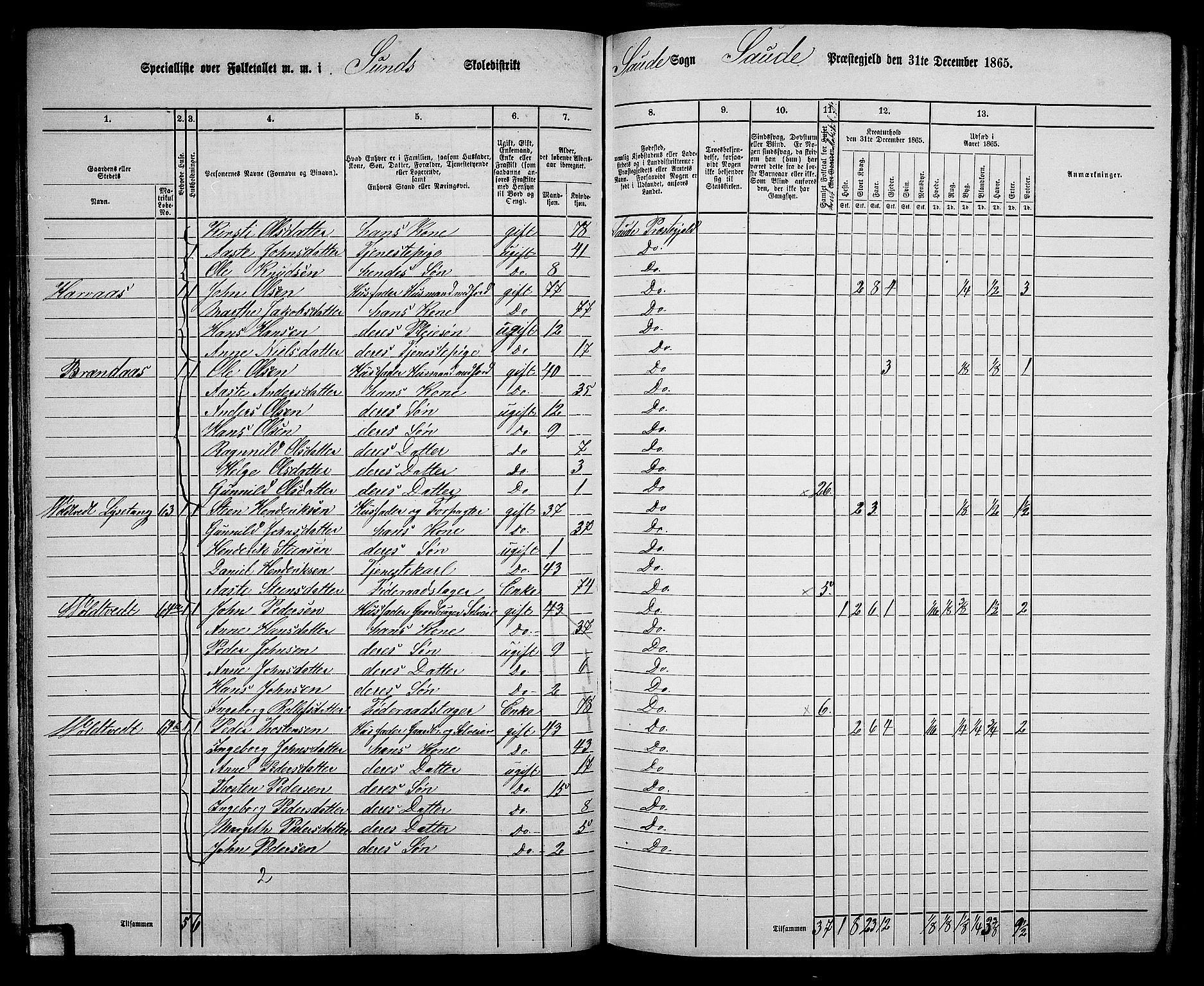 RA, 1865 census for Sauherad, 1865, p. 55