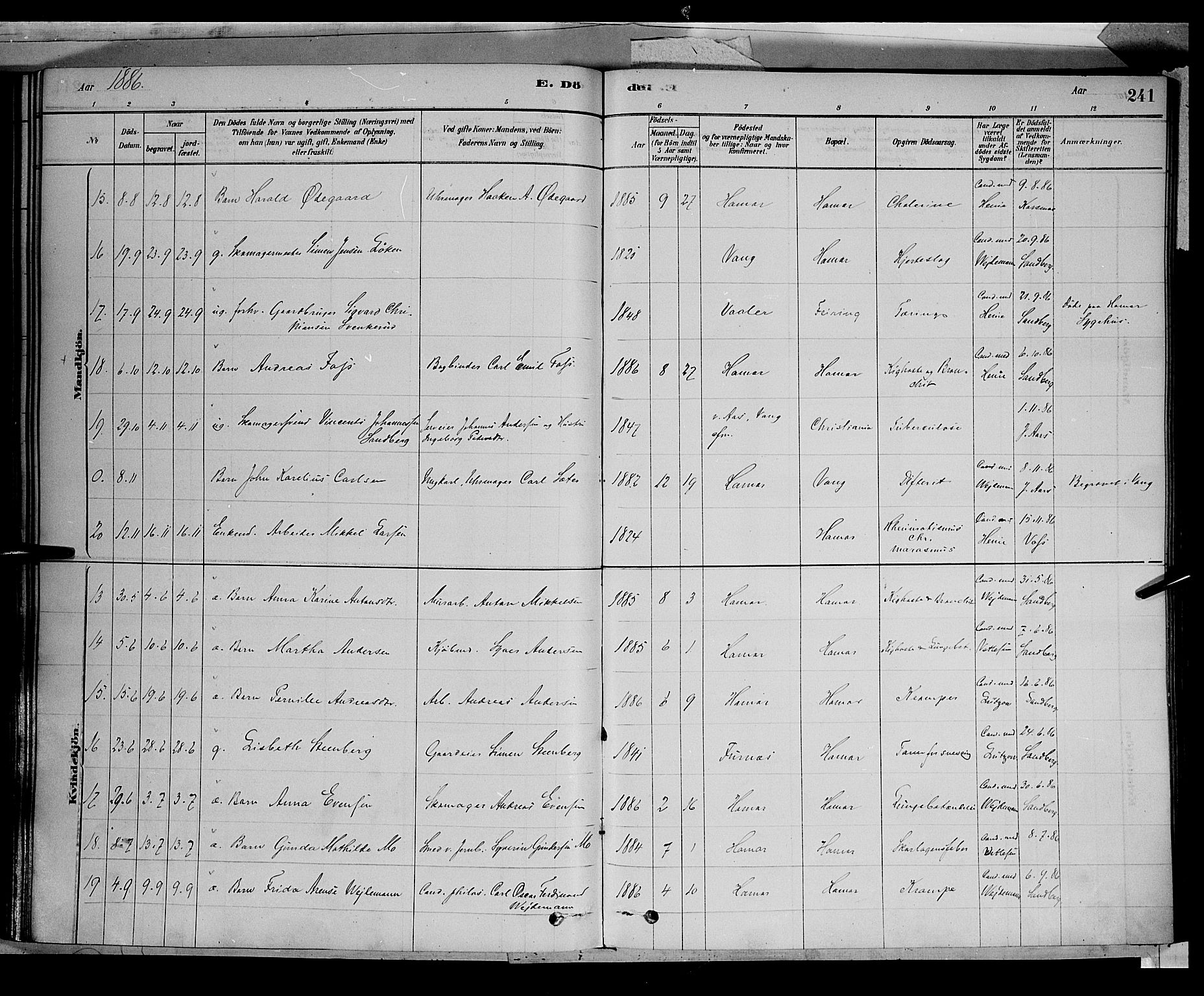 Vang prestekontor, Hedmark, AV/SAH-PREST-008/H/Ha/Haa/L0016: Parish register (official) no. 16, 1878-1889, p. 241