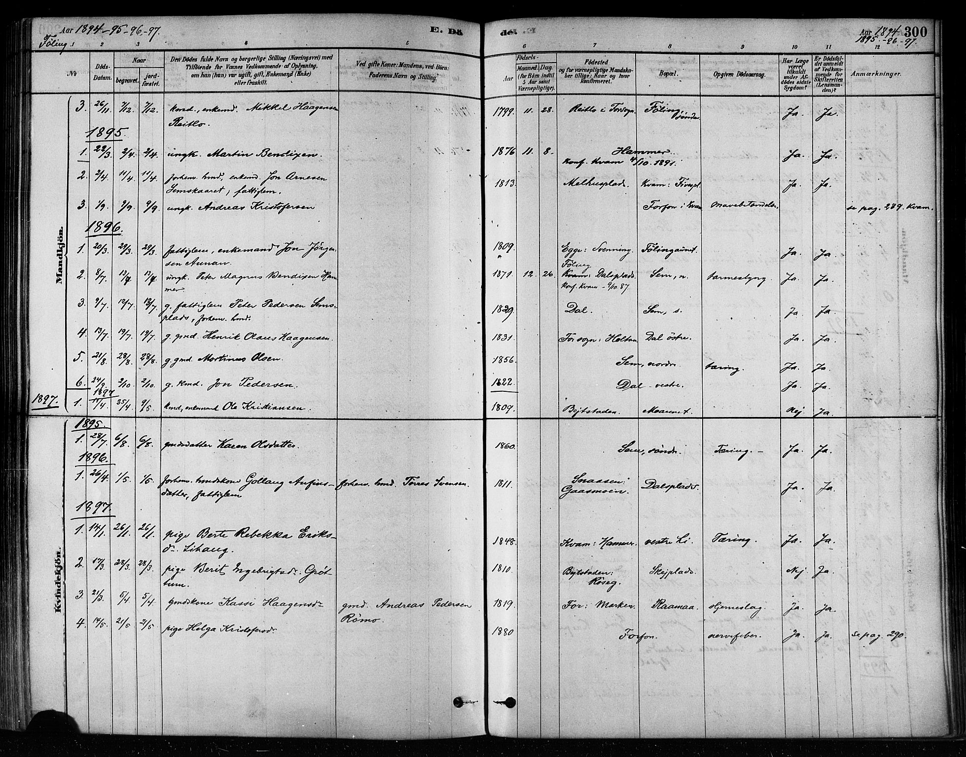 Ministerialprotokoller, klokkerbøker og fødselsregistre - Nord-Trøndelag, SAT/A-1458/746/L0449: Parish register (official) no. 746A07 /3, 1878-1899, p. 300