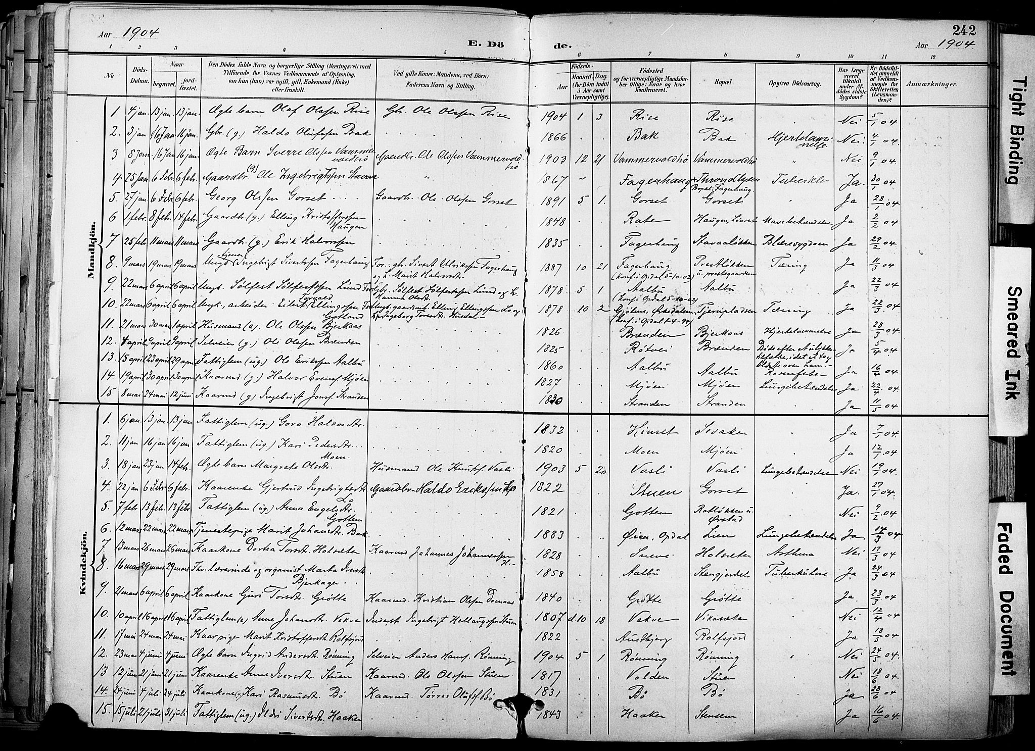 Ministerialprotokoller, klokkerbøker og fødselsregistre - Sør-Trøndelag, AV/SAT-A-1456/678/L0902: Parish register (official) no. 678A11, 1895-1911, p. 242