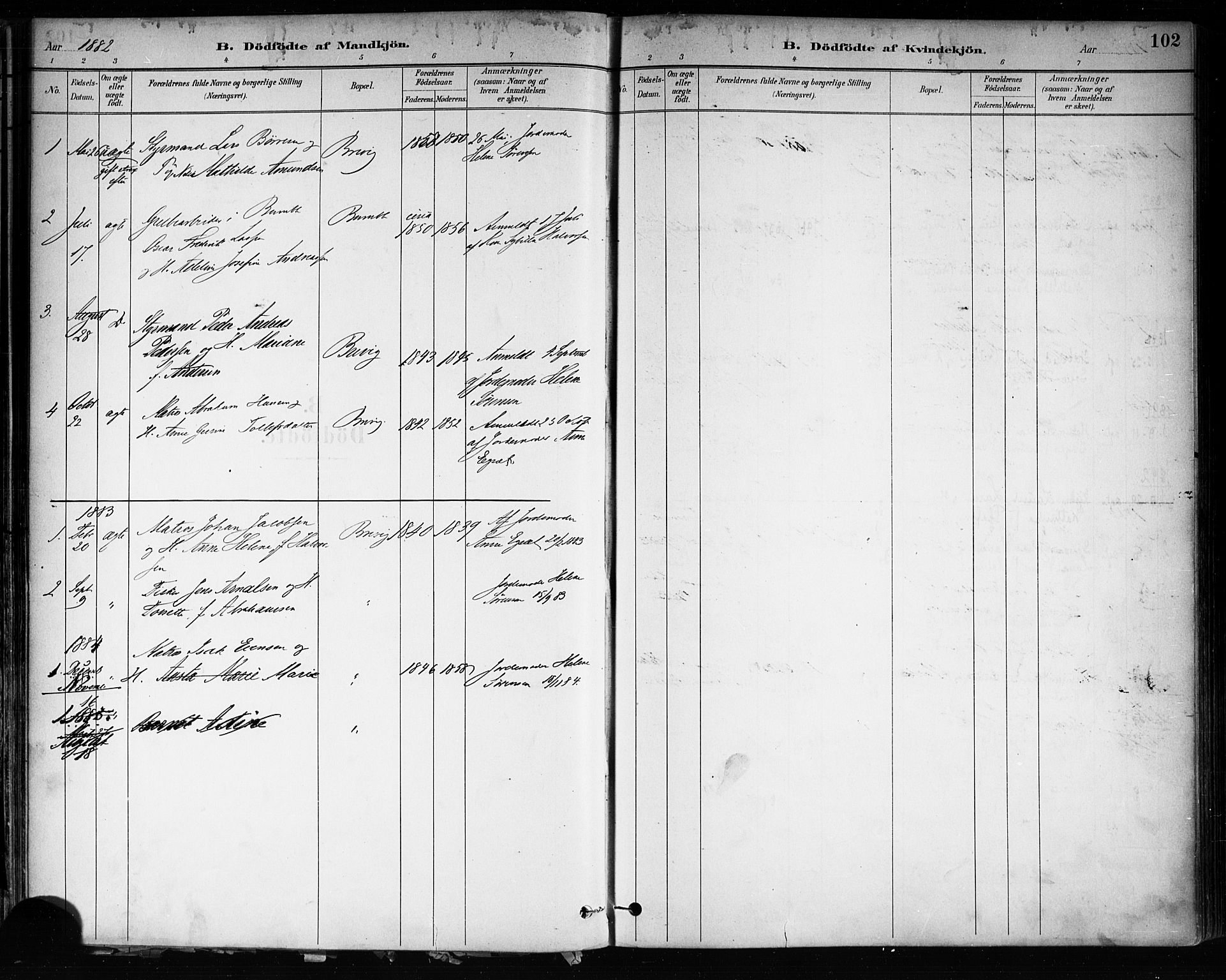 Brevik kirkebøker, SAKO/A-255/F/Fa/L0007: Parish register (official) no. 7, 1882-1900, p. 102