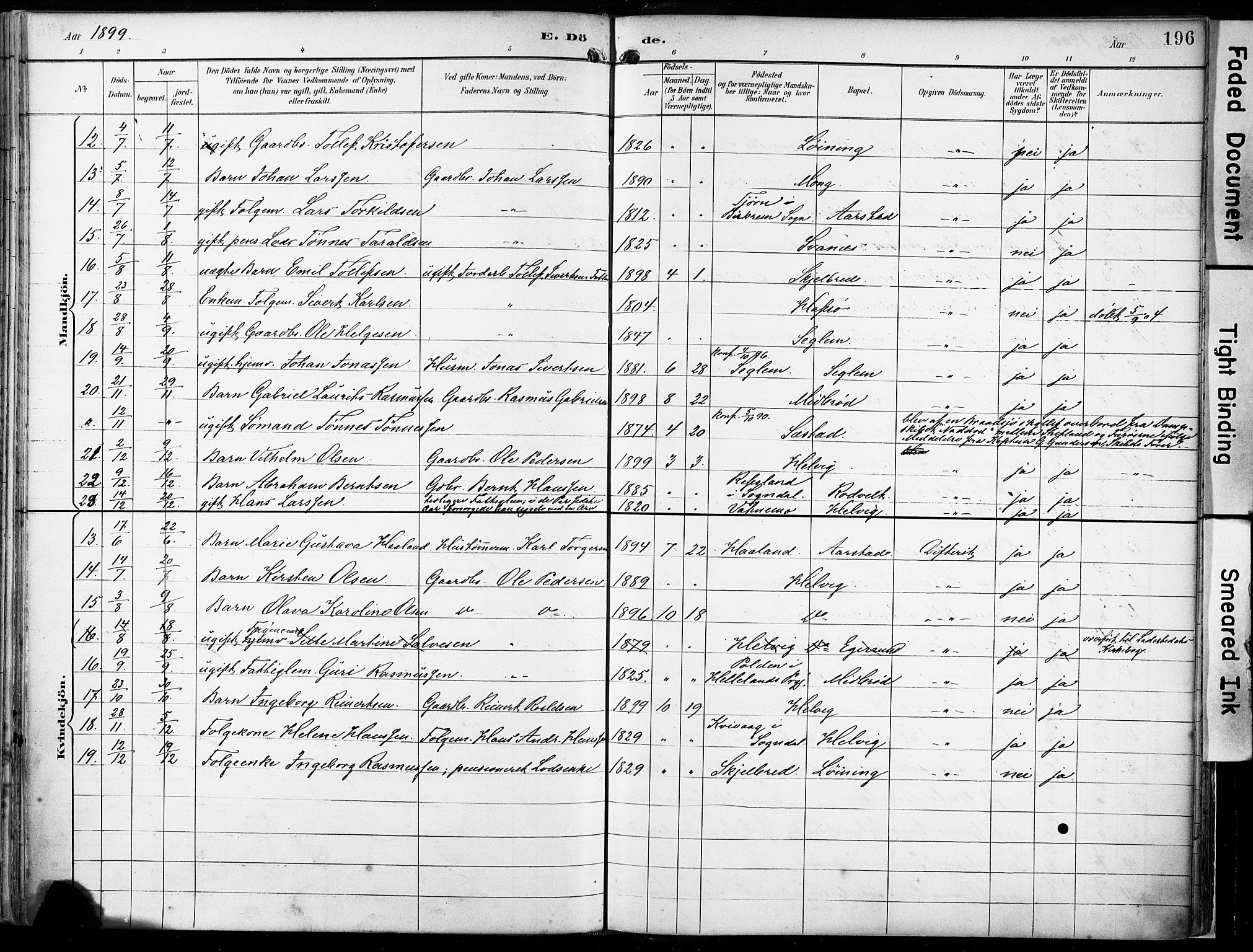 Eigersund sokneprestkontor, SAST/A-101807/S08/L0018: Parish register (official) no. A 17, 1892-1905, p. 196