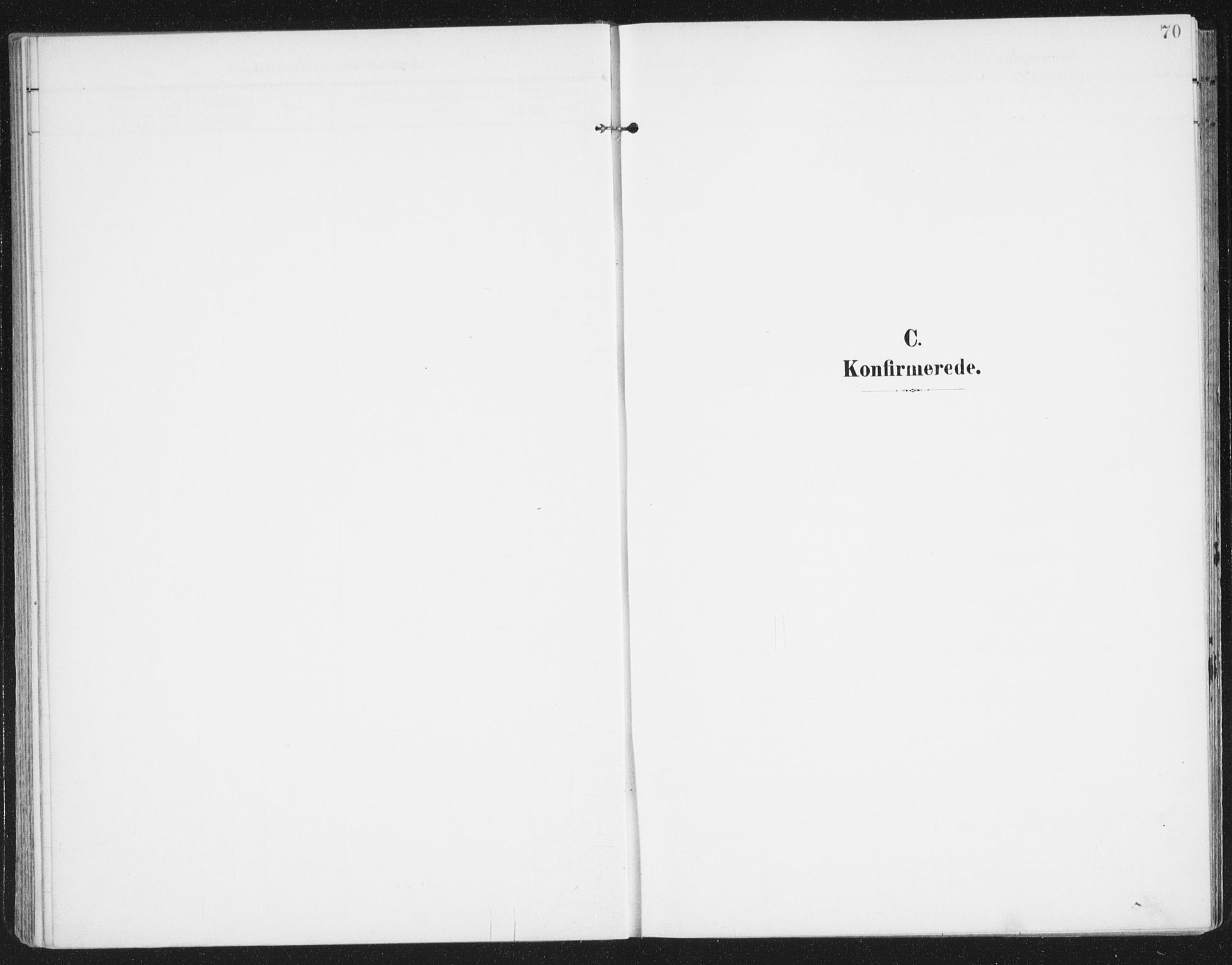 Ministerialprotokoller, klokkerbøker og fødselsregistre - Nordland, AV/SAT-A-1459/841/L0612: Parish register (official) no. 841A15, 1902-1910, p. 70