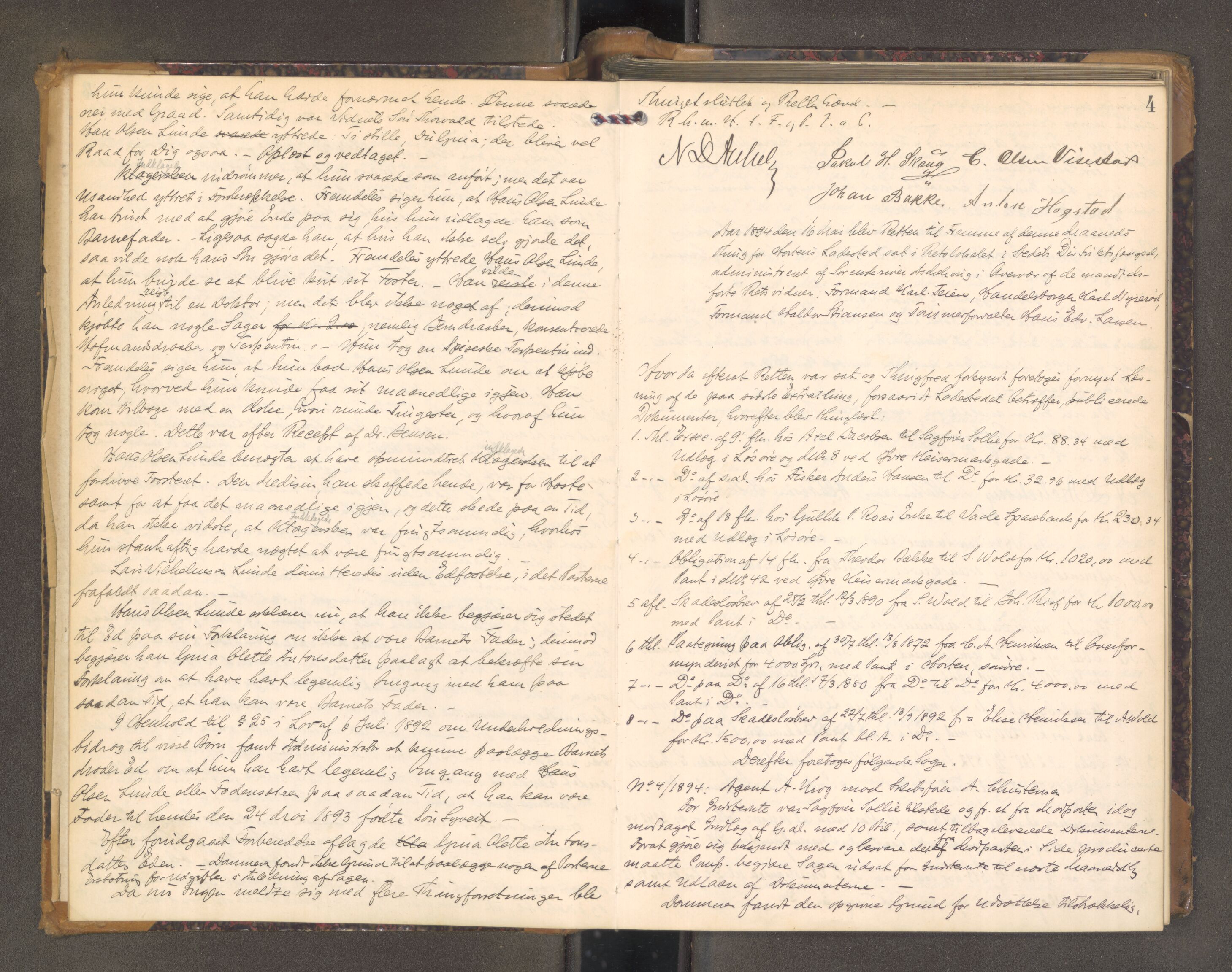 Mellom Jarlsberg sorenskriveri, AV/SAKO-A-132/F/Fa/Faa/L0010: Tingbok, 1894-1897, p. 3b-4a
