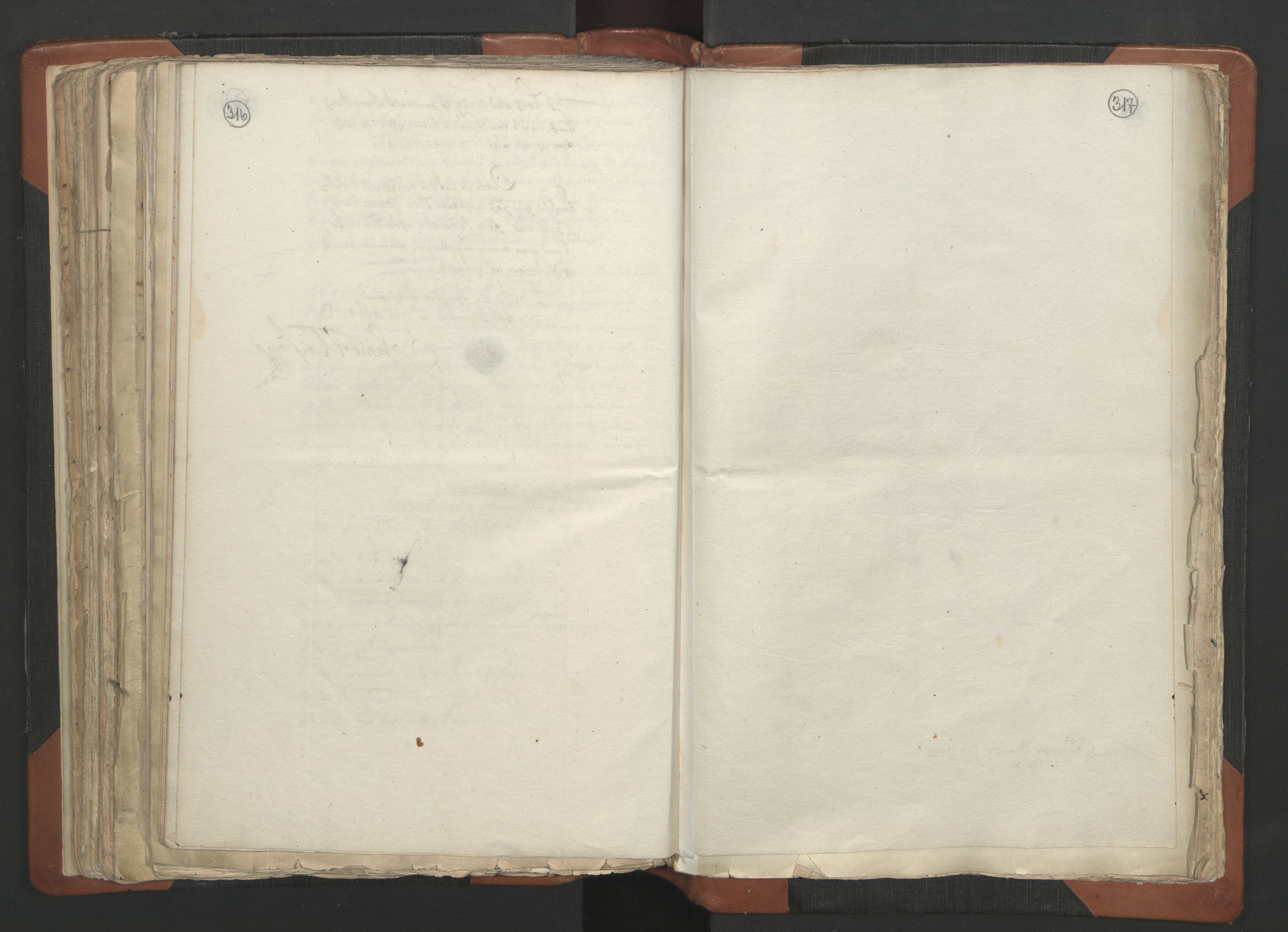 RA, Vicar's Census 1664-1666, no. 12: Øvre Telemark deanery, Nedre Telemark deanery and Bamble deanery, 1664-1666, p. 316-317