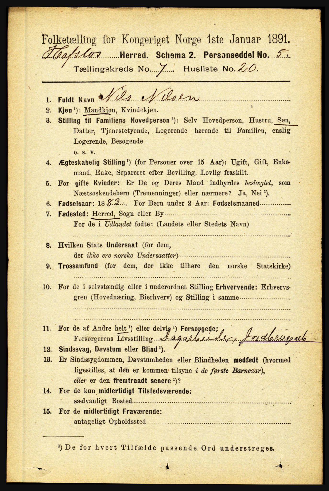 RA, 1891 census for 1425 Hafslo, 1891, p. 2850