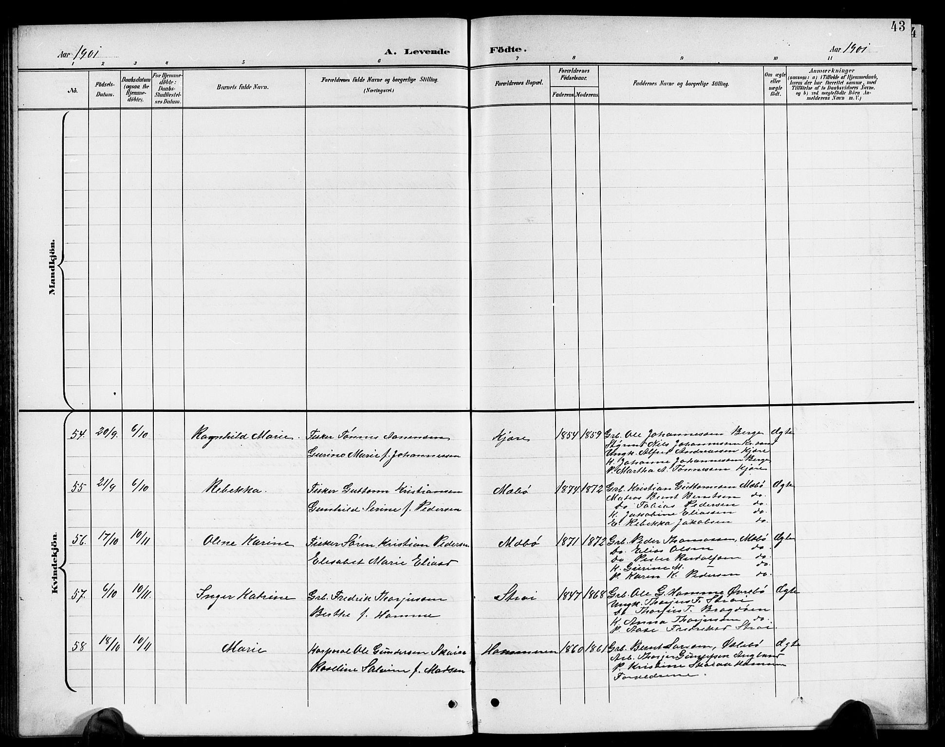 Oddernes sokneprestkontor, AV/SAK-1111-0033/F/Fb/Fba/L0009: Parish register (copy) no. B 9, 1899-1923, p. 43