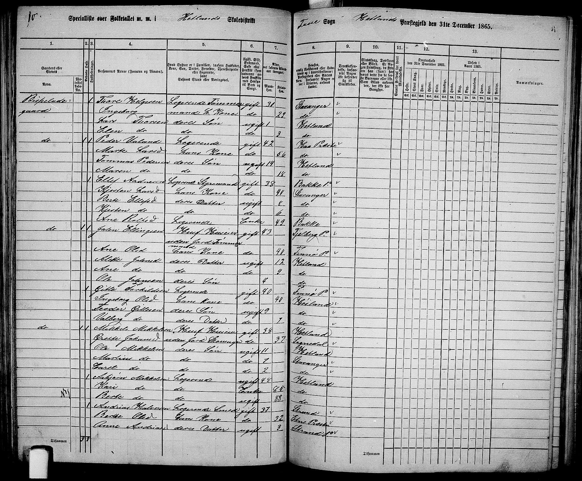 RA, 1865 census for Hetland, 1865, p. 124