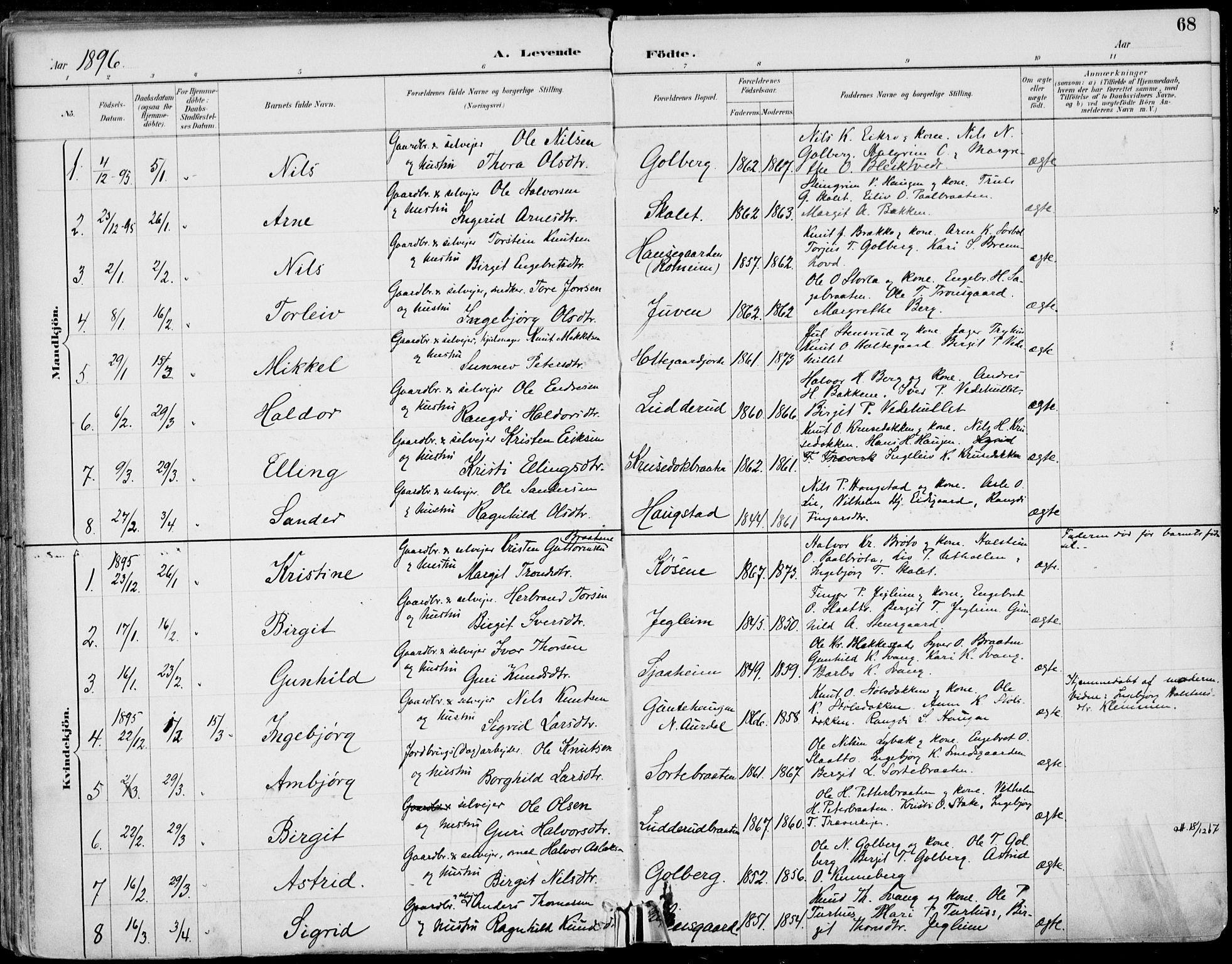 Gol kirkebøker, AV/SAKO-A-226/F/Fa/L0005: Parish register (official) no. I 5, 1887-1900, p. 68