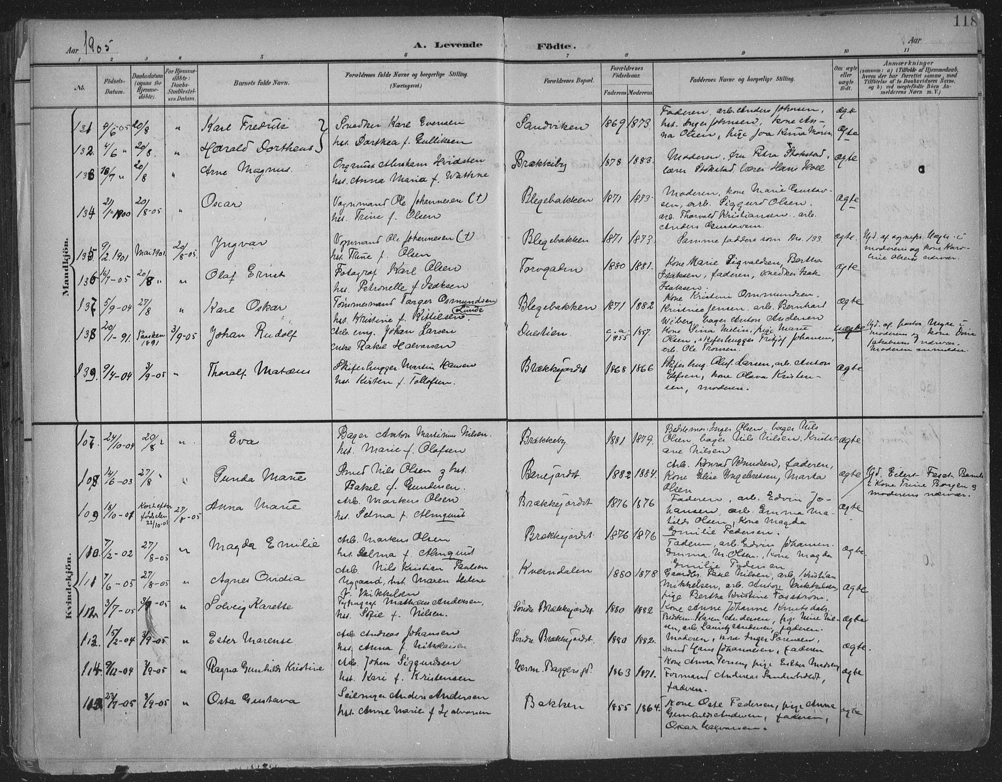 Skien kirkebøker, SAKO/A-302/F/Fa/L0011: Parish register (official) no. 11, 1900-1907, p. 118