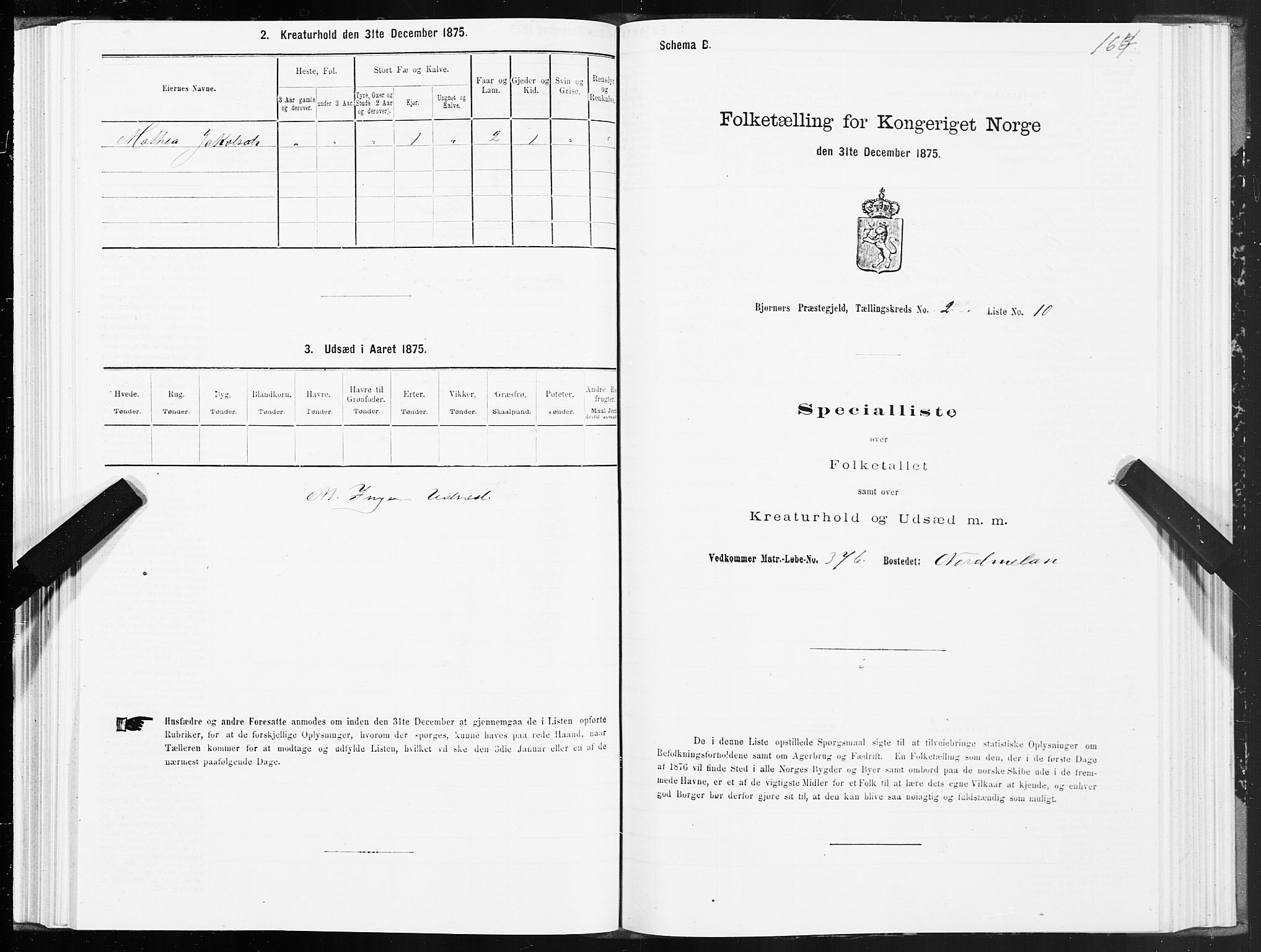 SAT, 1875 census for 1632P Bjørnør, 1875, p. 1164