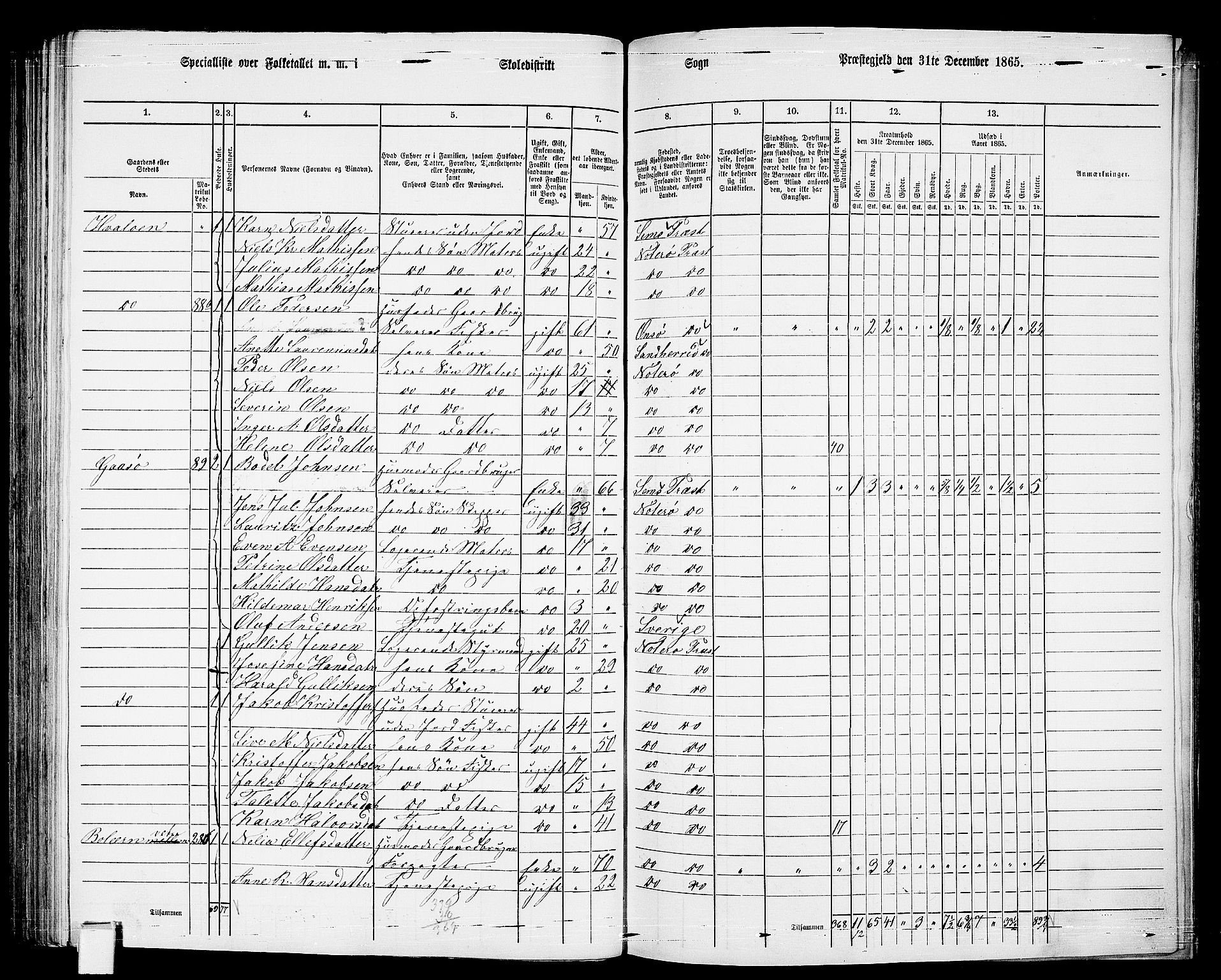 RA, 1865 census for Nøtterøy, 1865, p. 195