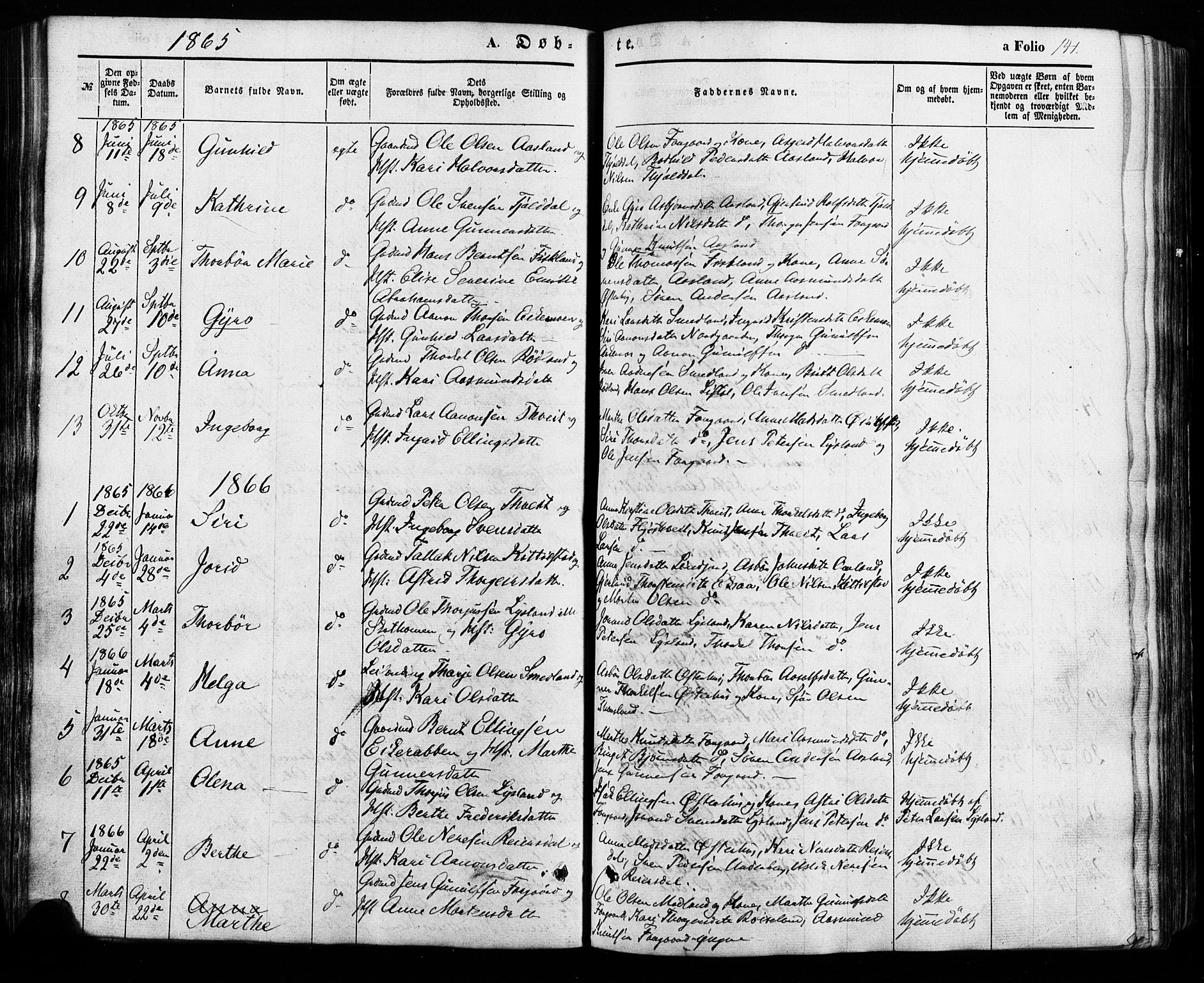 Åseral sokneprestkontor, SAK/1111-0051/F/Fa/L0002: Parish register (official) no. A 2, 1854-1884, p. 141