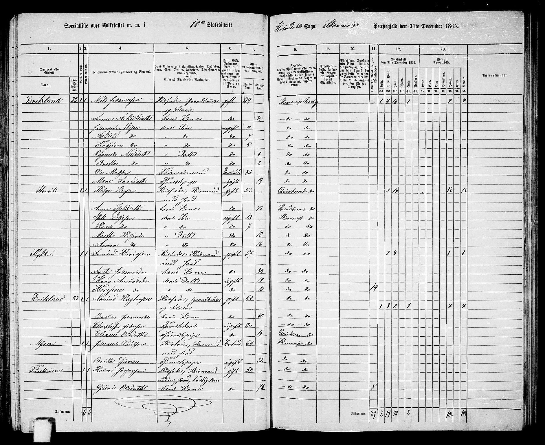 RA, 1865 census for Skånevik, 1865, p. 144