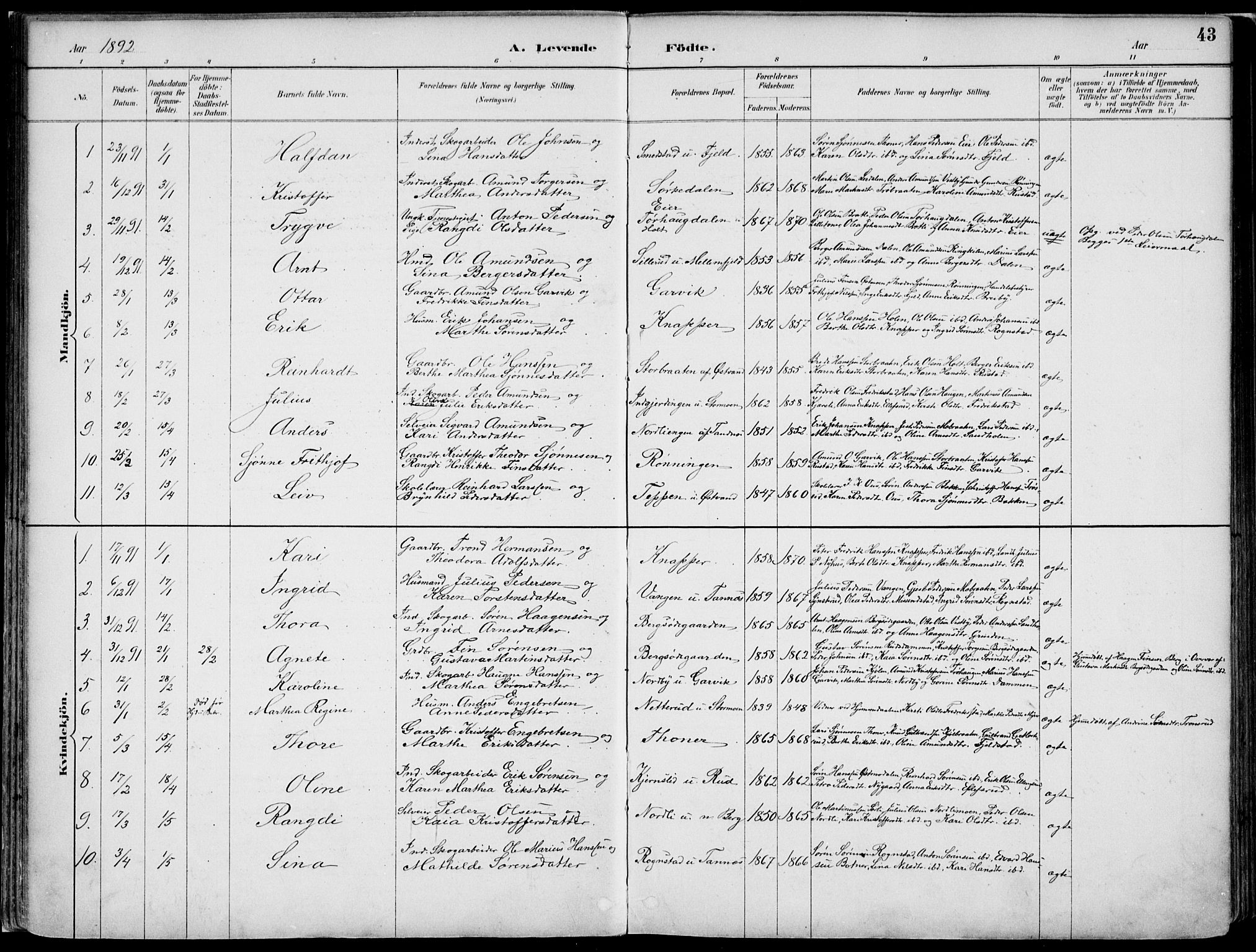 Nord-Odal prestekontor, AV/SAH-PREST-032/H/Ha/Haa/L0008: Parish register (official) no. 8, 1886-1901, p. 43