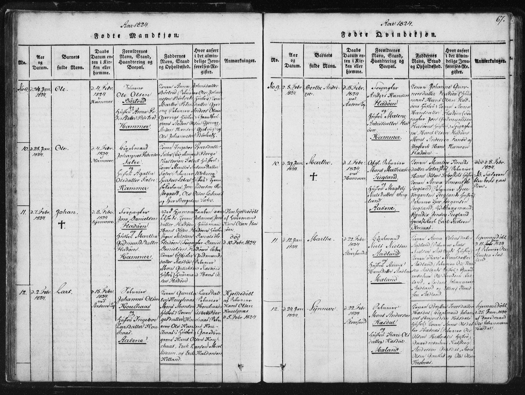 Hamre sokneprestembete, AV/SAB-A-75501/H/Ha/Haa/Haaa/L0010: Parish register (official) no. A 10, 1816-1826, p. 67