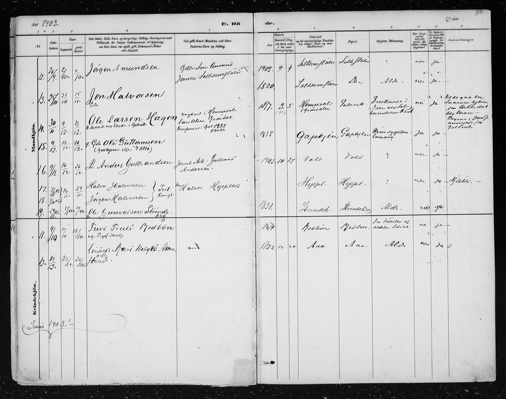 Nes kirkebøker, AV/SAKO-A-236/F/Fa/L0012: Parish register (official) no. 12, 1881-1917, p. 310