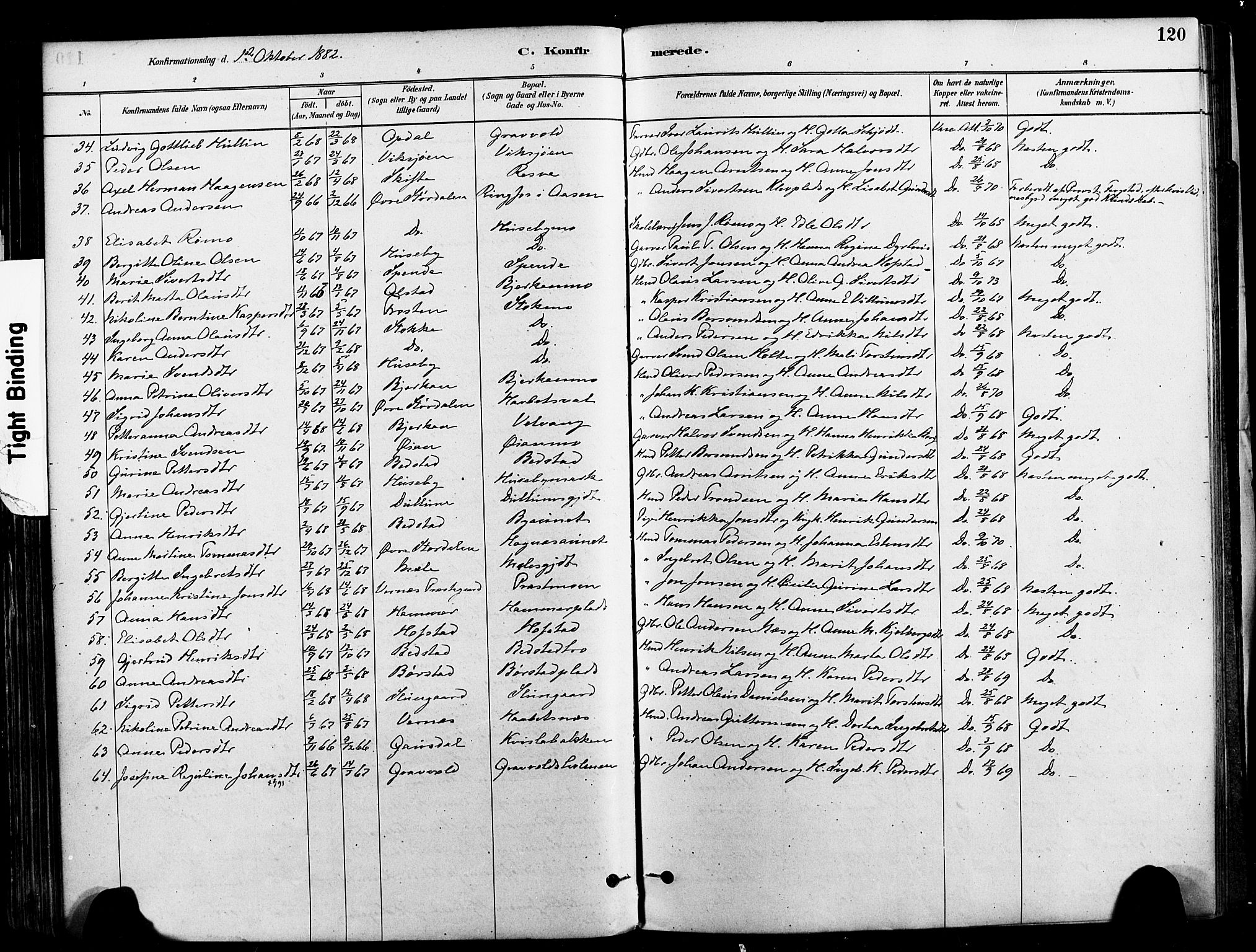 Ministerialprotokoller, klokkerbøker og fødselsregistre - Nord-Trøndelag, SAT/A-1458/709/L0077: Parish register (official) no. 709A17, 1880-1895, p. 120