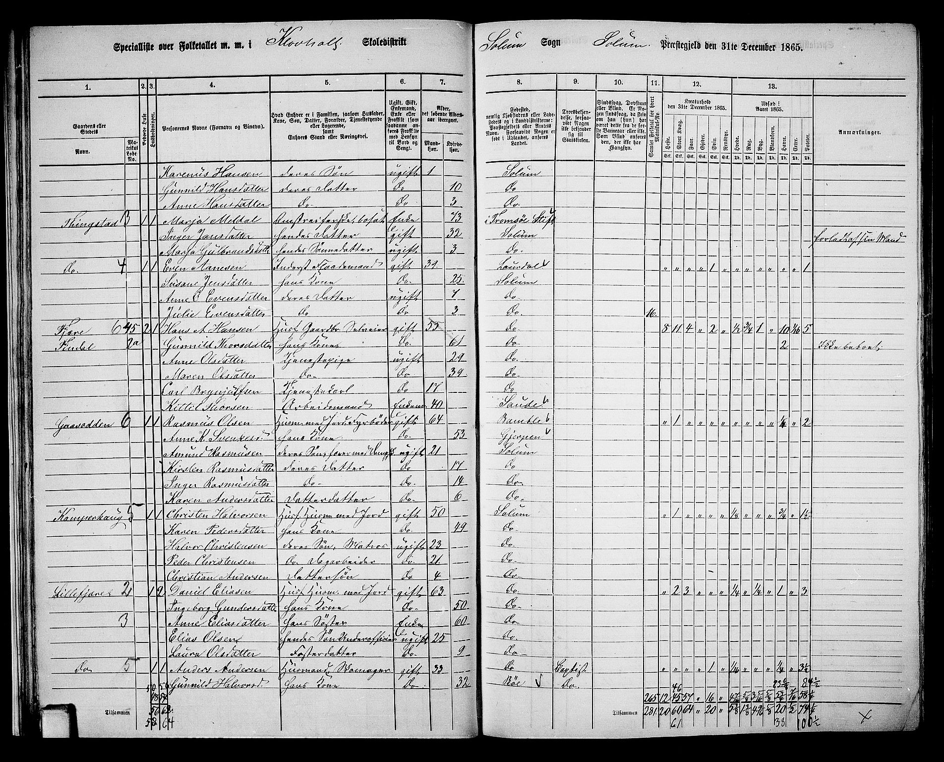 RA, 1865 census for Solum, 1865, p. 38