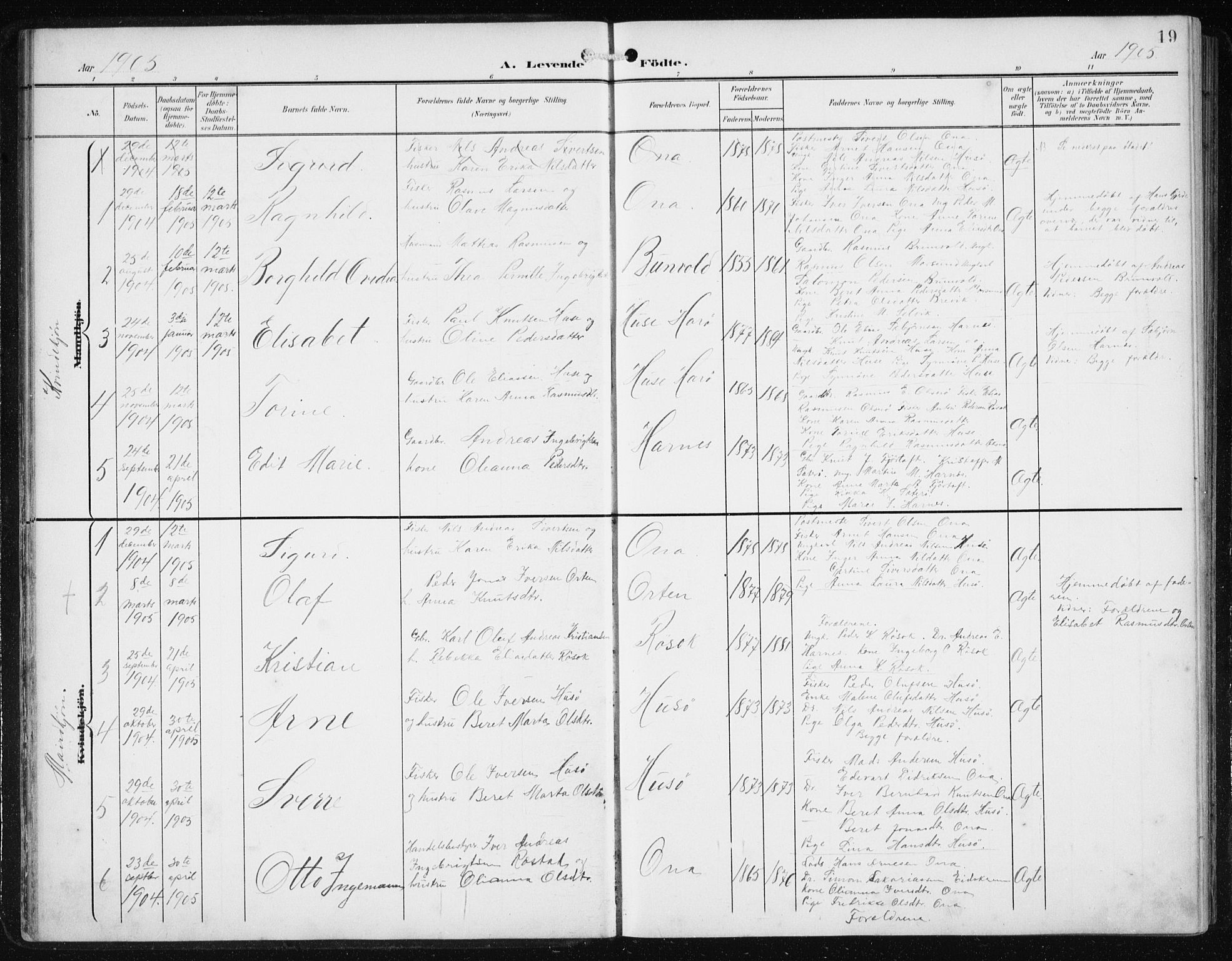Ministerialprotokoller, klokkerbøker og fødselsregistre - Møre og Romsdal, AV/SAT-A-1454/561/L0733: Parish register (copy) no. 561C03, 1900-1940, p. 19