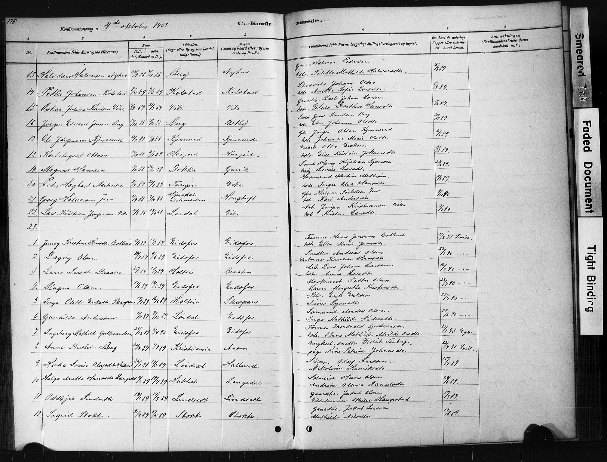 Hof kirkebøker, AV/SAKO-A-64/G/Ga/L0004: Parish register (copy) no. I 4, 1878-1930, p. 176