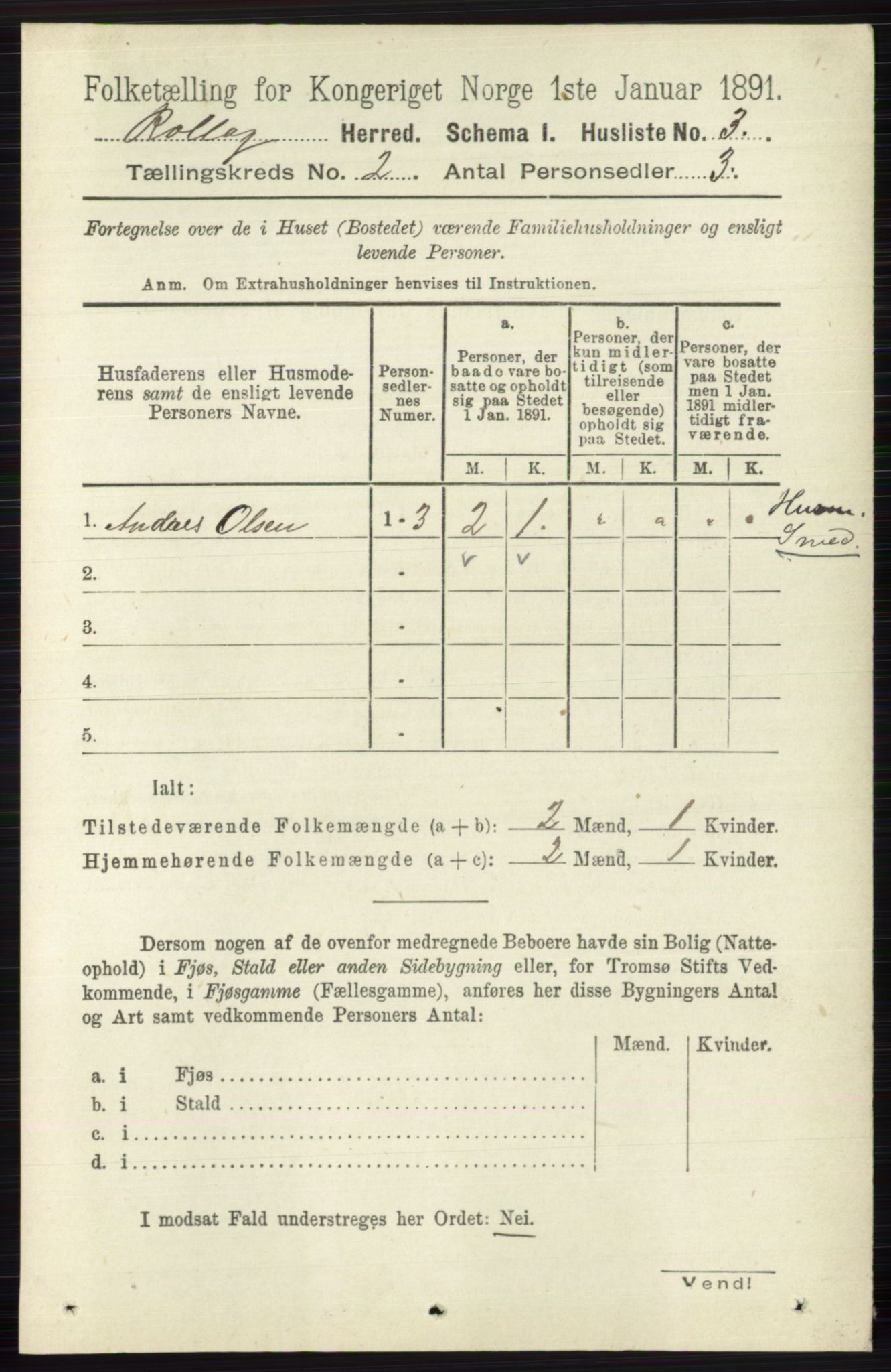 RA, 1891 census for 0632 Rollag, 1891, p. 419