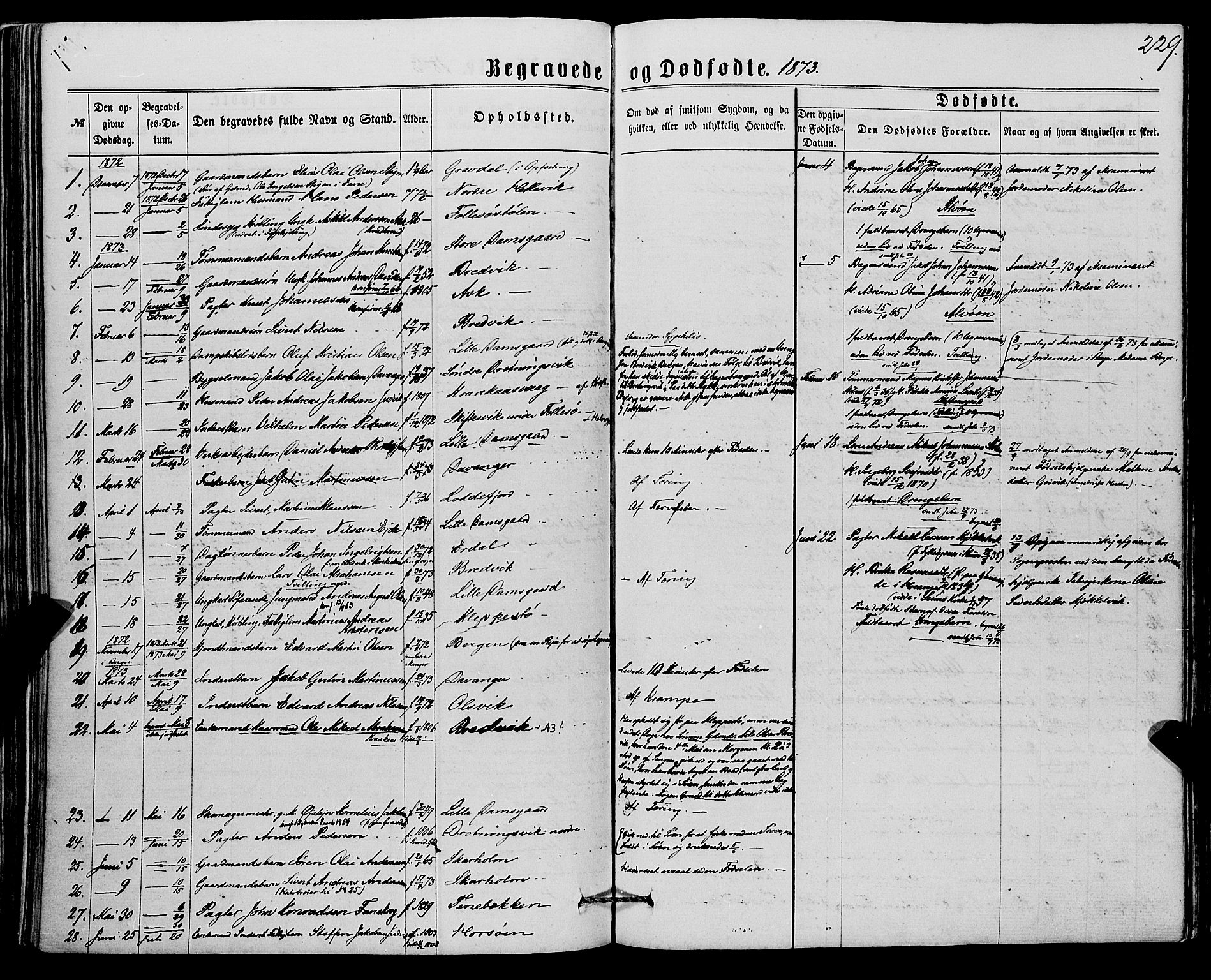 Askøy Sokneprestembete, SAB/A-74101/H/Ha/Haa/Haaa/L0009: Parish register (official) no. A 9, 1863-1877, p. 229