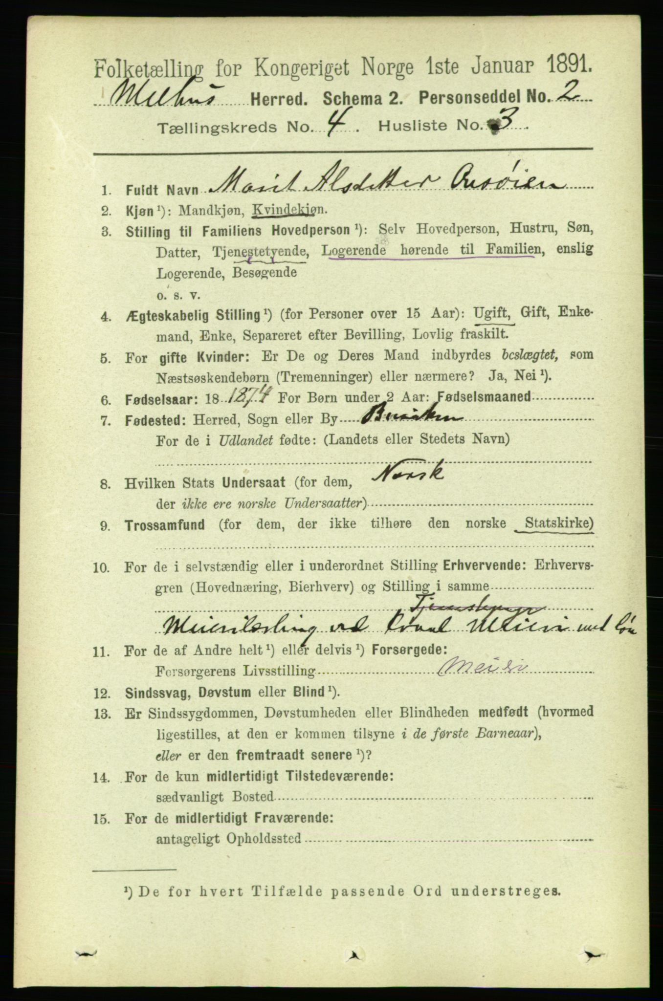 RA, 1891 census for 1653 Melhus, 1891, p. 1989