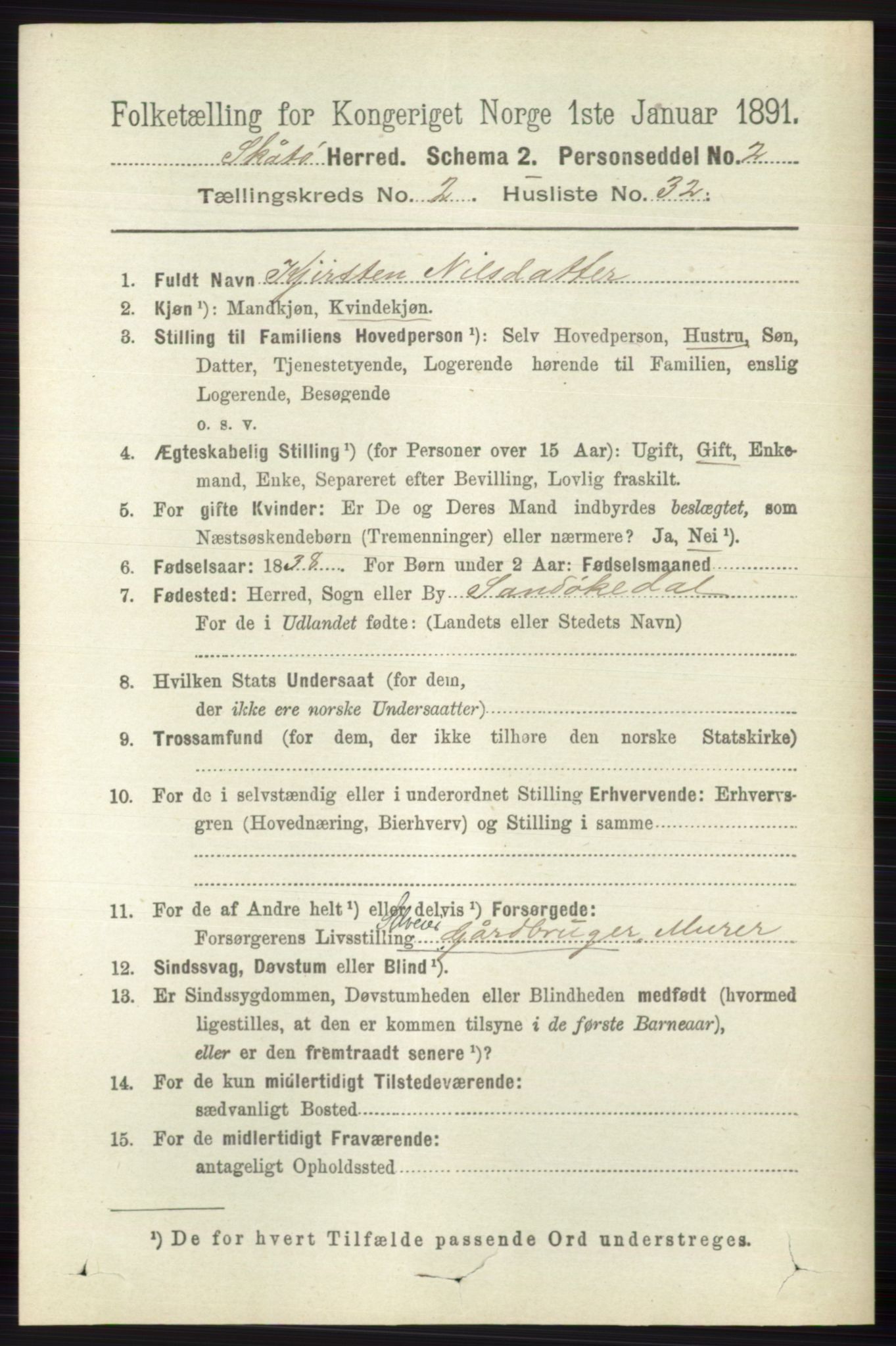 RA, 1891 census for 0815 Skåtøy, 1891, p. 599