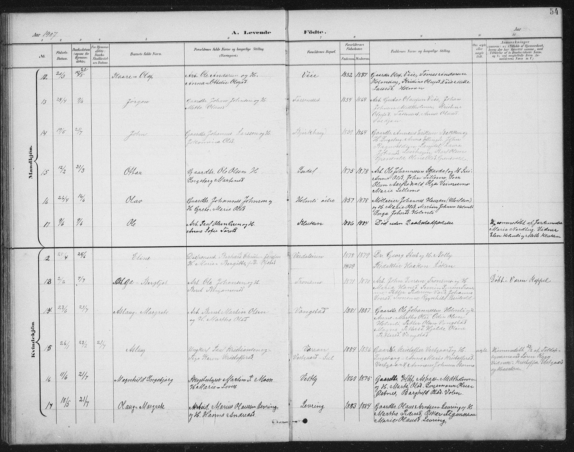 Ministerialprotokoller, klokkerbøker og fødselsregistre - Nord-Trøndelag, AV/SAT-A-1458/724/L0269: Parish register (copy) no. 724C05, 1899-1920, p. 54