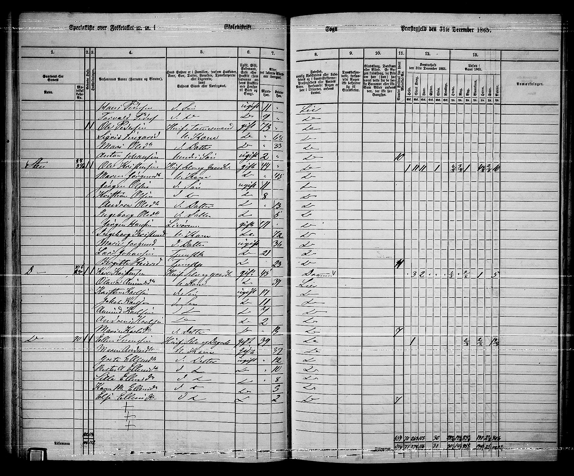 RA, 1865 census for Lier, 1865, p. 60