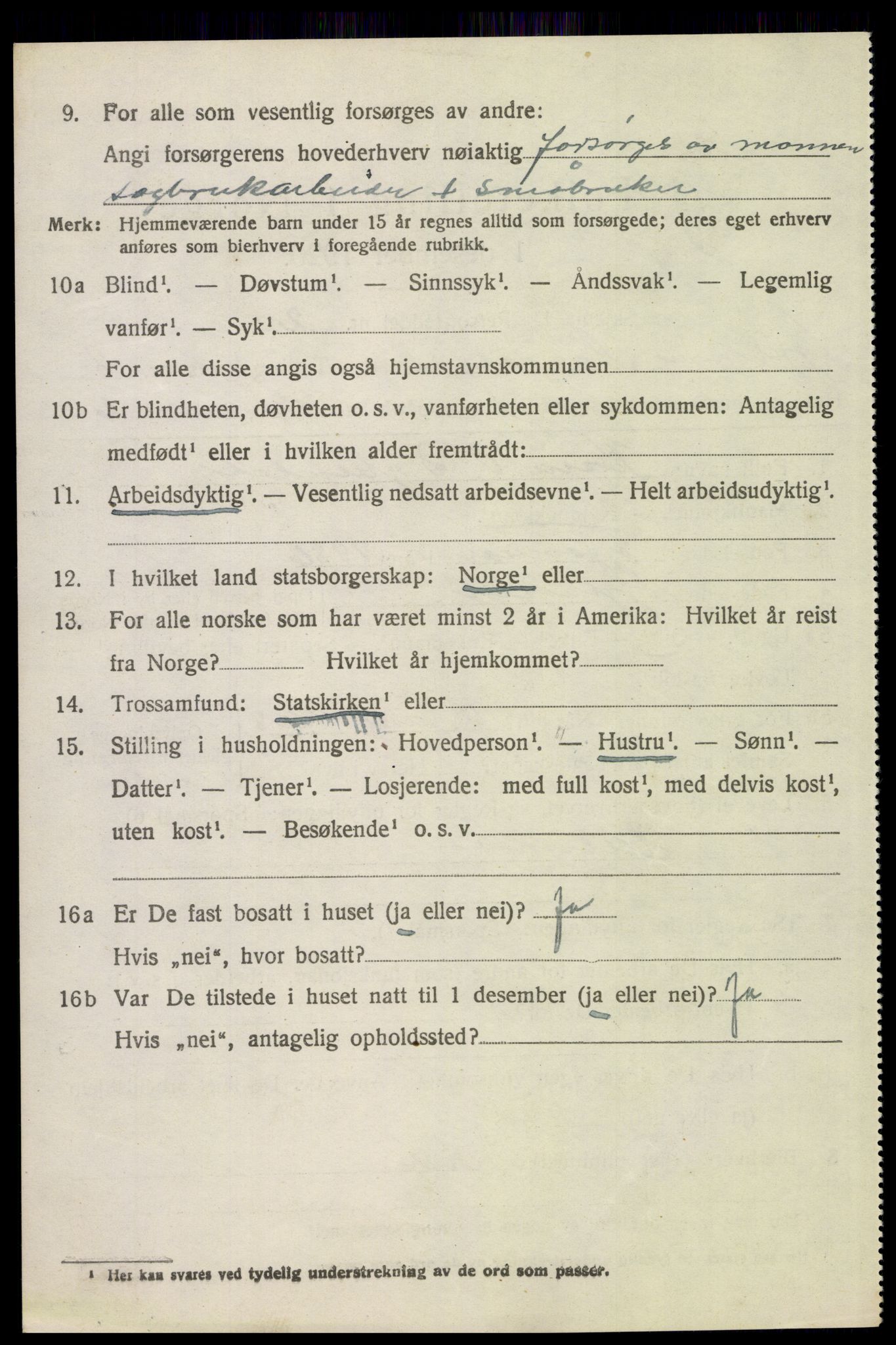 SAH, 1920 census for Åsnes, 1920, p. 9131