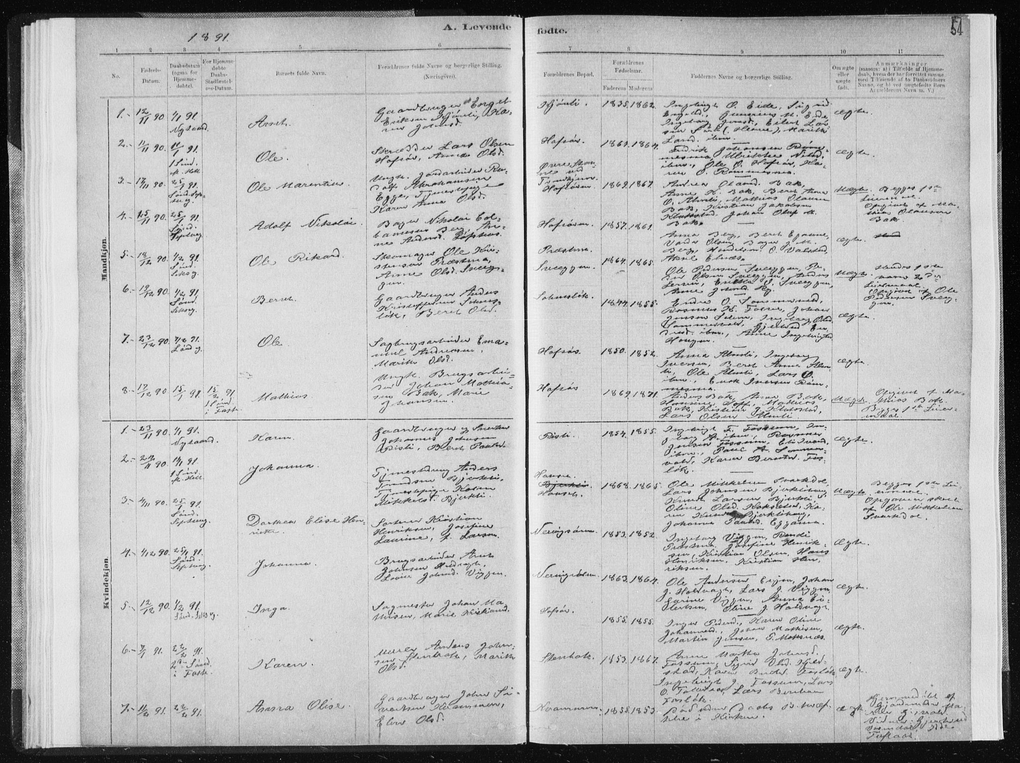 Ministerialprotokoller, klokkerbøker og fødselsregistre - Sør-Trøndelag, AV/SAT-A-1456/668/L0818: Parish register (copy) no. 668C07, 1885-1898, p. 54