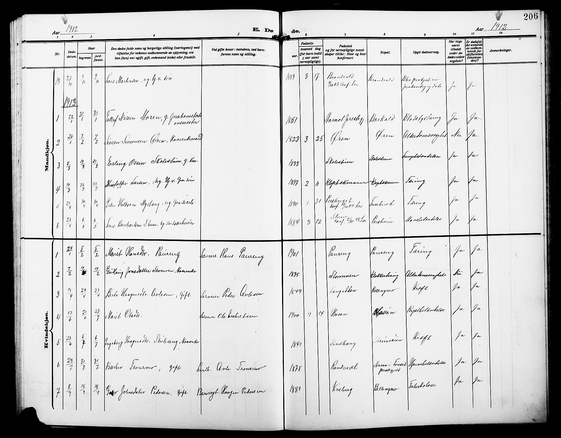 Alvdal prestekontor, SAH/PREST-060/H/Ha/Hab/L0005: Parish register (copy) no. 5, 1908-1923, p. 206