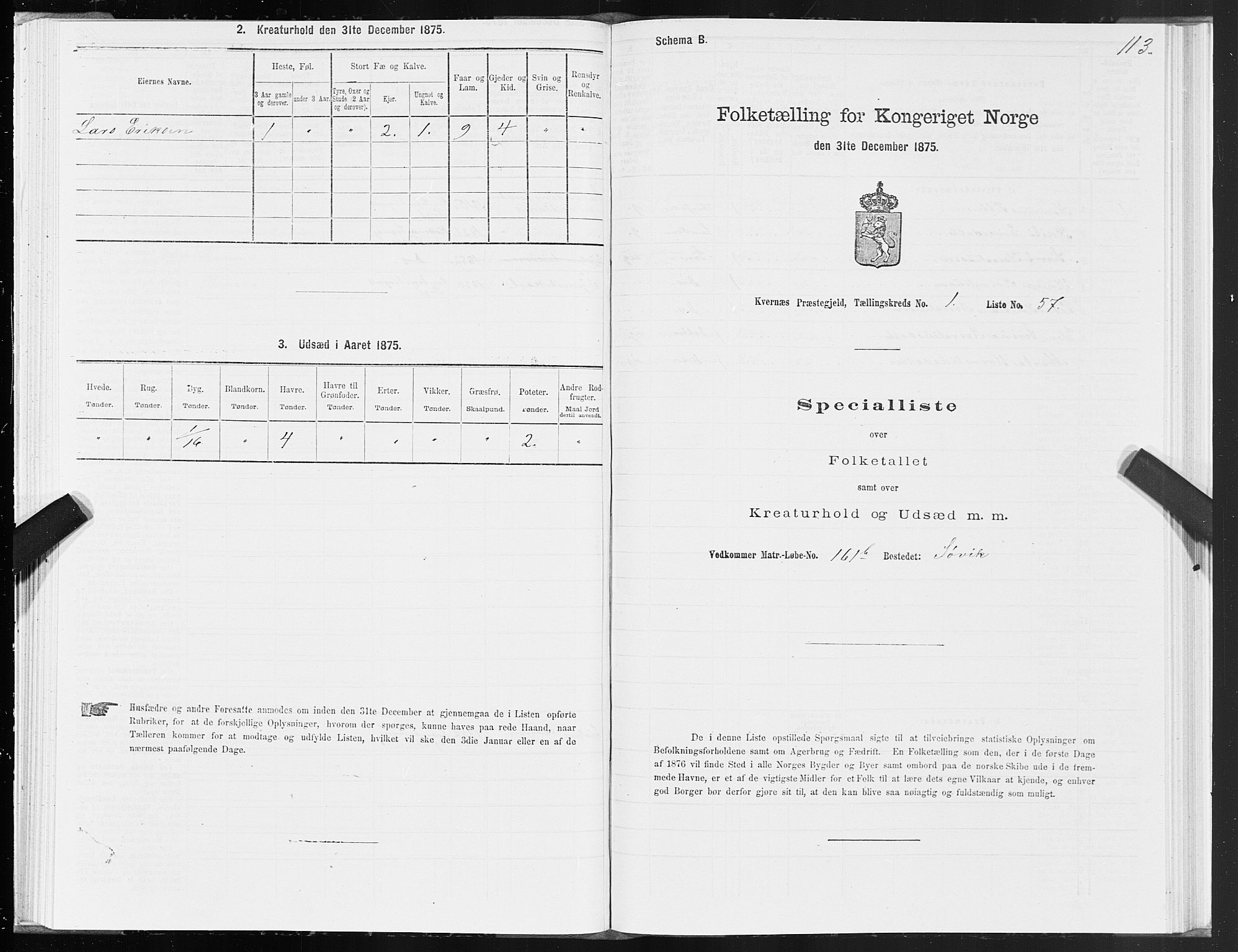 SAT, 1875 census for 1553P Kvernes, 1875, p. 1113