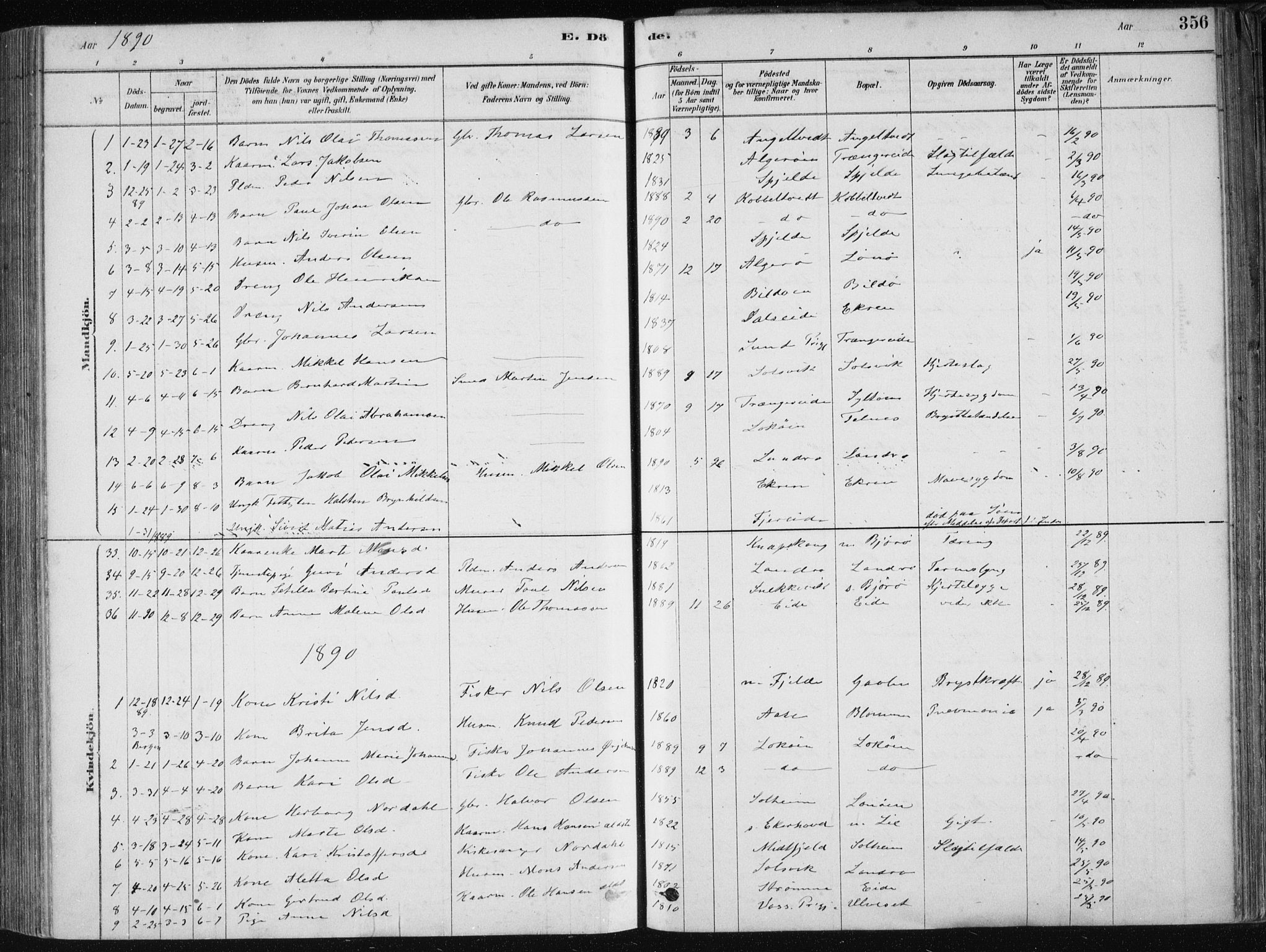 Fjell sokneprestembete, SAB/A-75301/H/Haa: Parish register (official) no. A  8, 1878-1898, p. 356