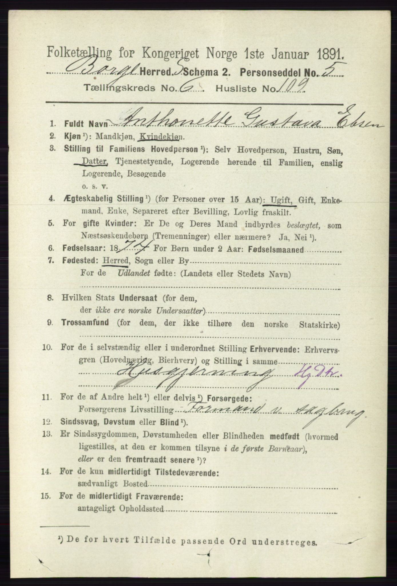 RA, 1891 census for 0113 Borge, 1891, p. 3877