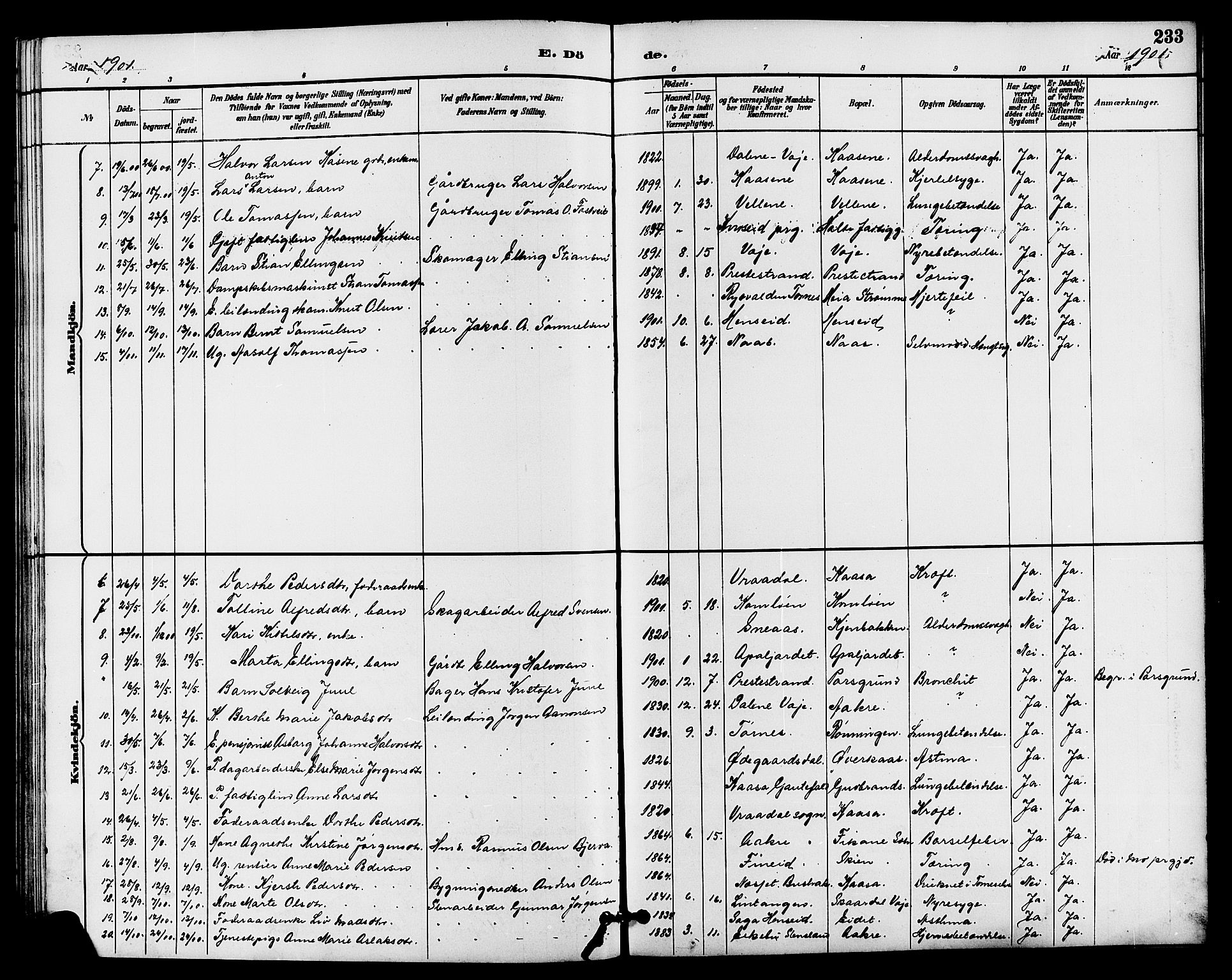 Drangedal kirkebøker, SAKO/A-258/G/Ga/L0003: Parish register (copy) no. I 3, 1887-1906, p. 233