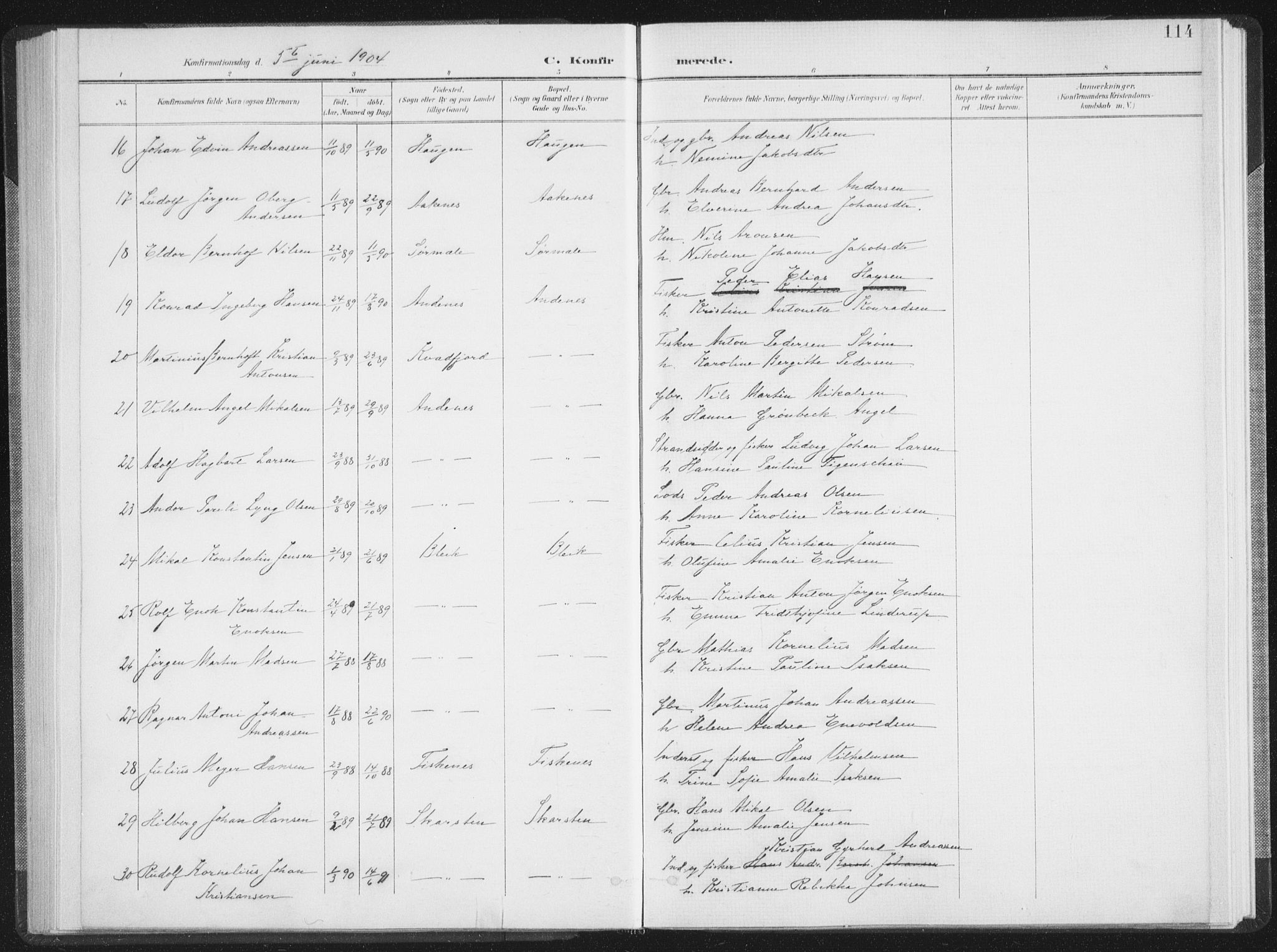 Ministerialprotokoller, klokkerbøker og fødselsregistre - Nordland, AV/SAT-A-1459/897/L1400: Parish register (official) no. 897A07, 1897-1908, p. 114