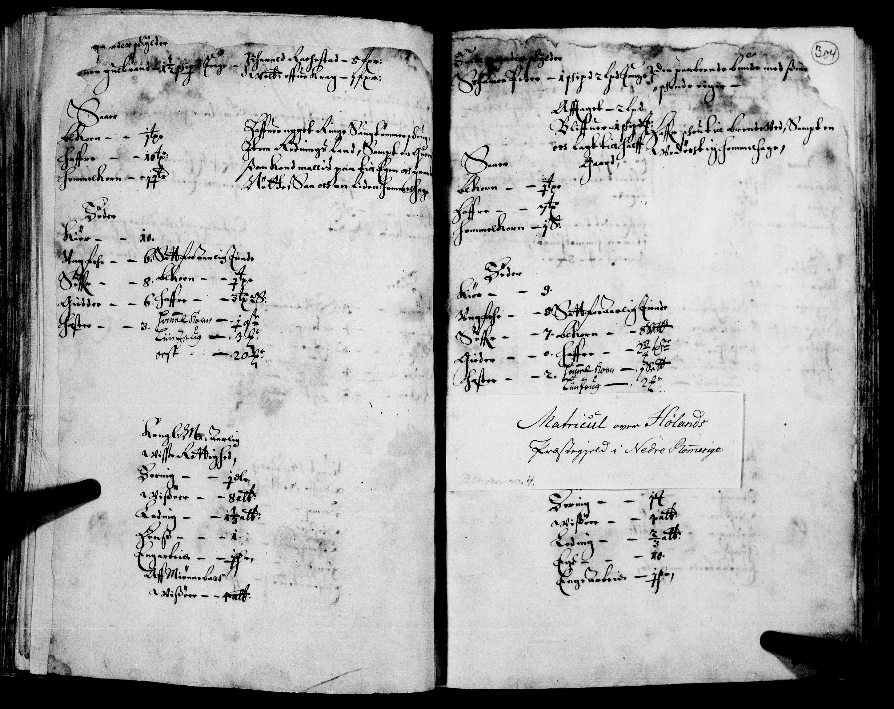 Rentekammeret inntil 1814, Realistisk ordnet avdeling, AV/RA-EA-4070/N/Nb/Nba/L0008: Nedre Romerike fogderi, 2. del, 1666, p. 303b-304a