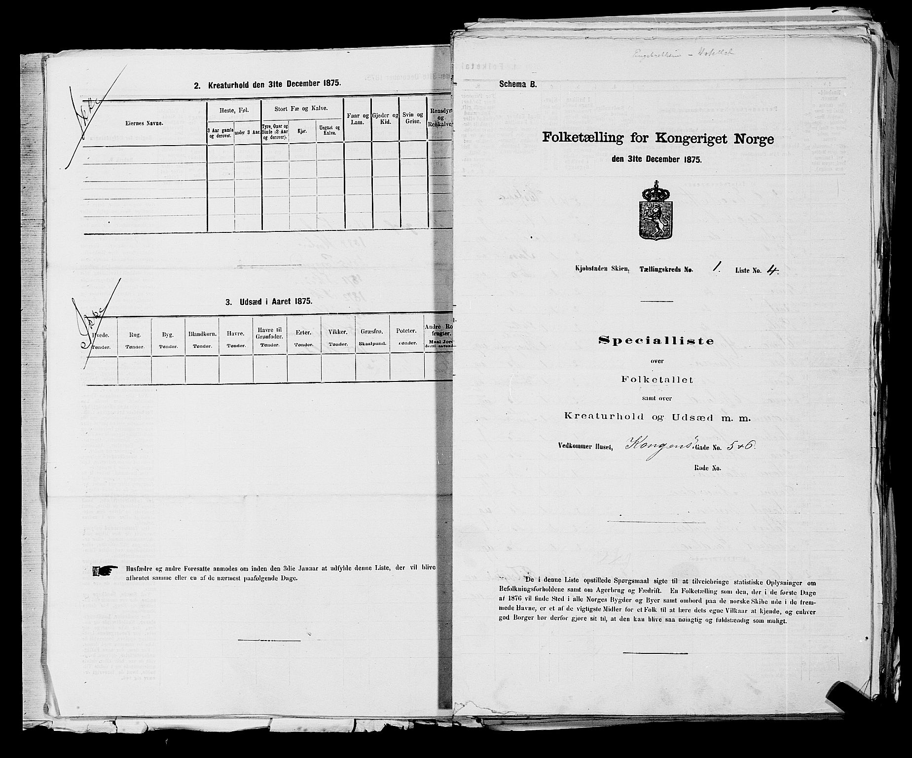 SAKO, 1875 census for 0806P Skien, 1875, p. 34