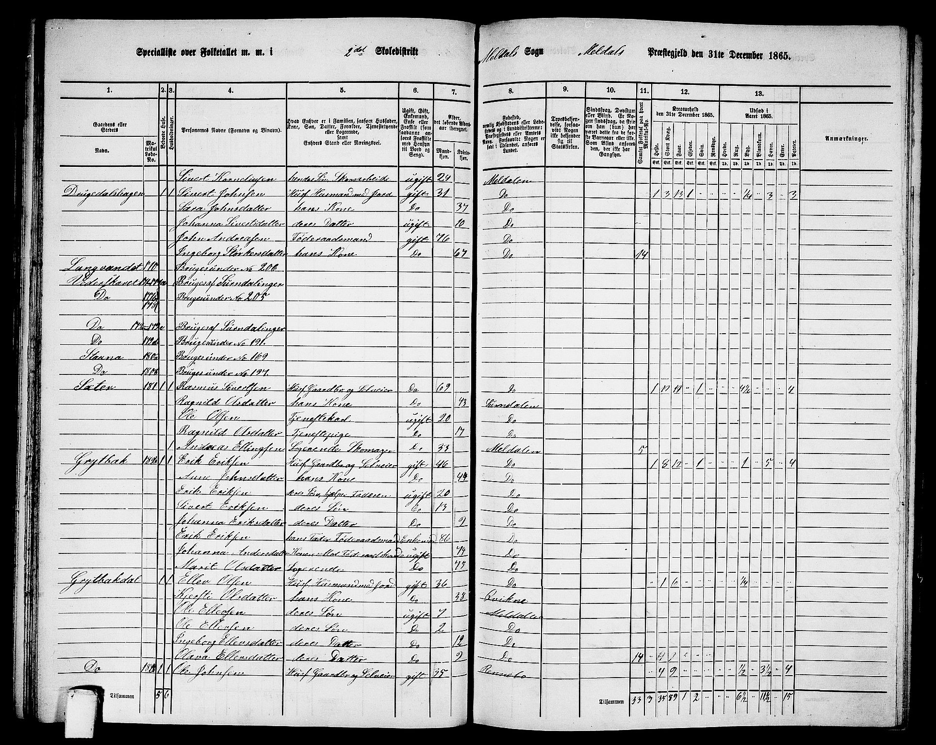 RA, 1865 census for Meldal, 1865, p. 58