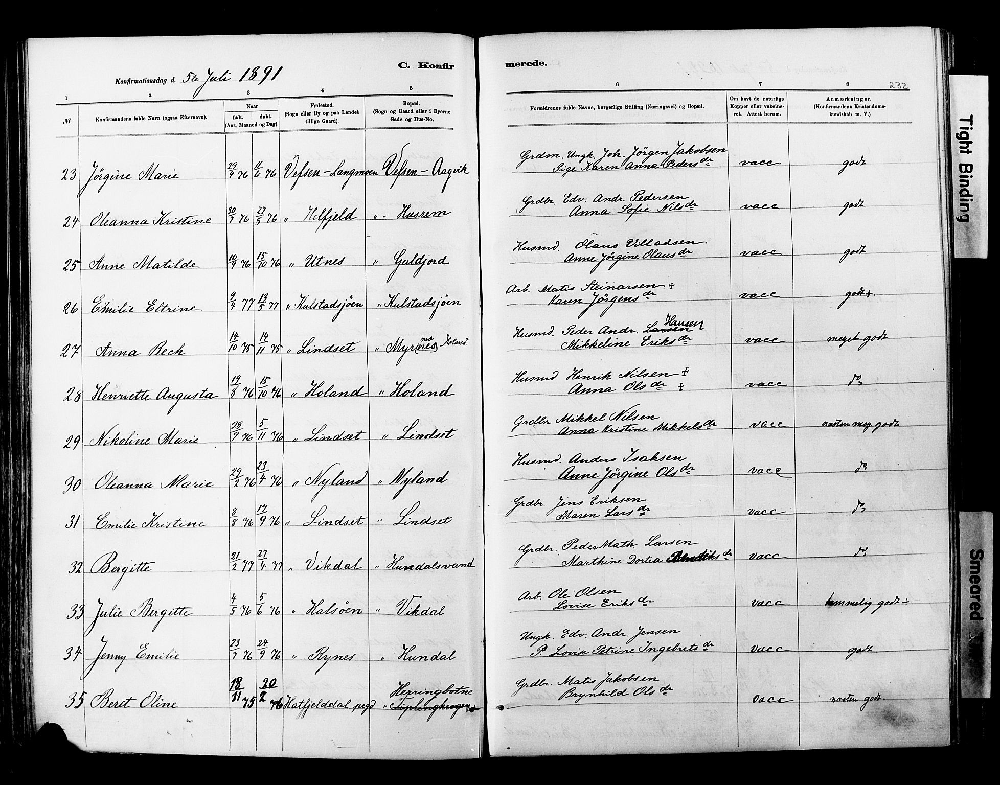 Ministerialprotokoller, klokkerbøker og fødselsregistre - Nordland, AV/SAT-A-1459/820/L0295: Parish register (official) no. 820A16, 1880-1896, p. 232