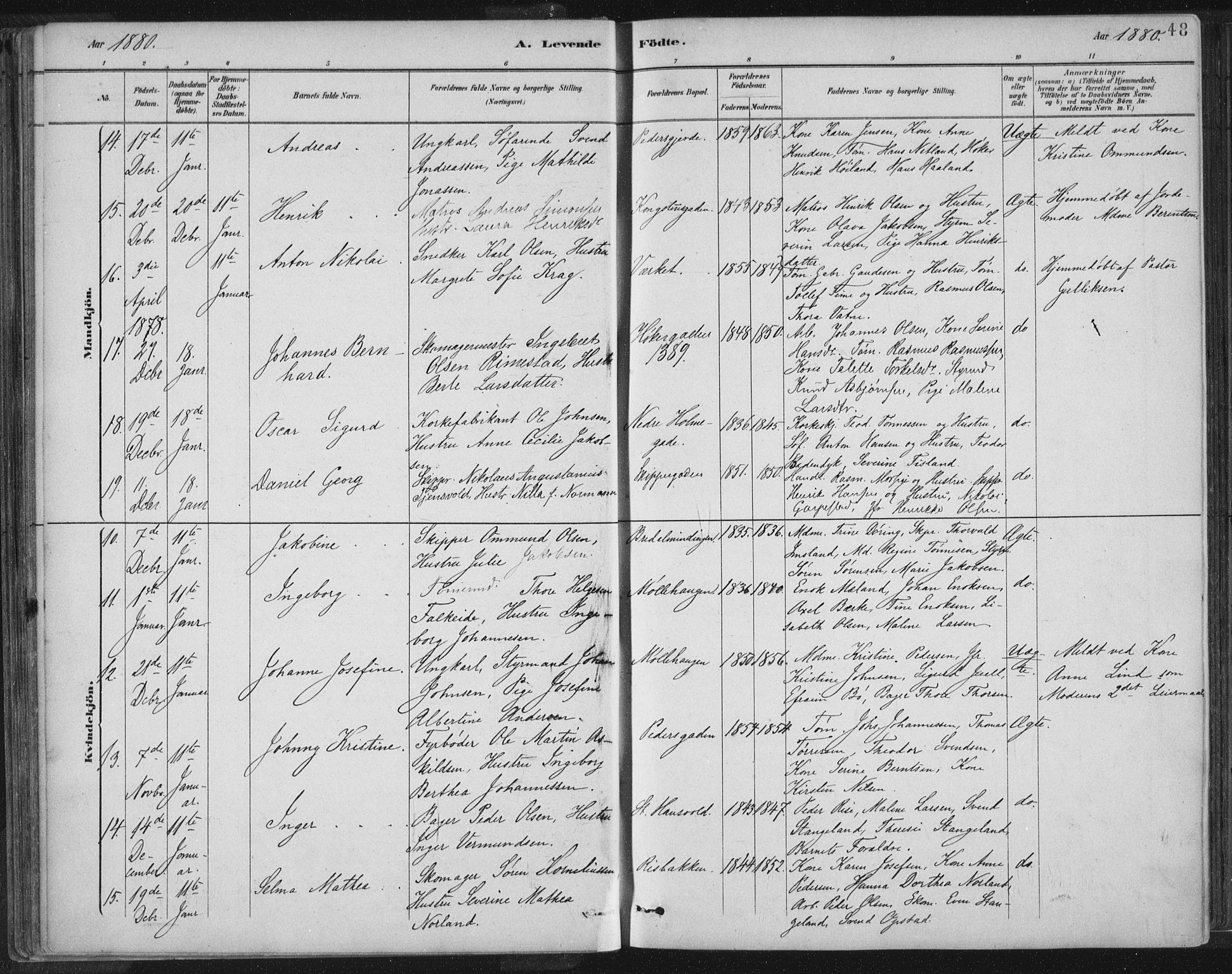 St. Petri sokneprestkontor, SAST/A-101813/001/30/30BB/L0004: Parish register (copy) no. B 4, 1878-1890, p. 48