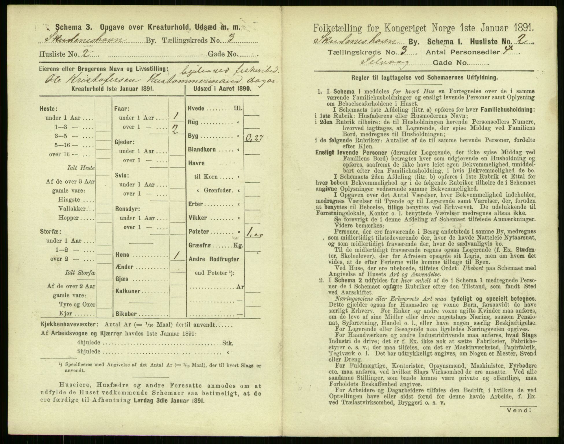 RA, 1891 census for 1104 Skudeneshavn, 1891, p. 194