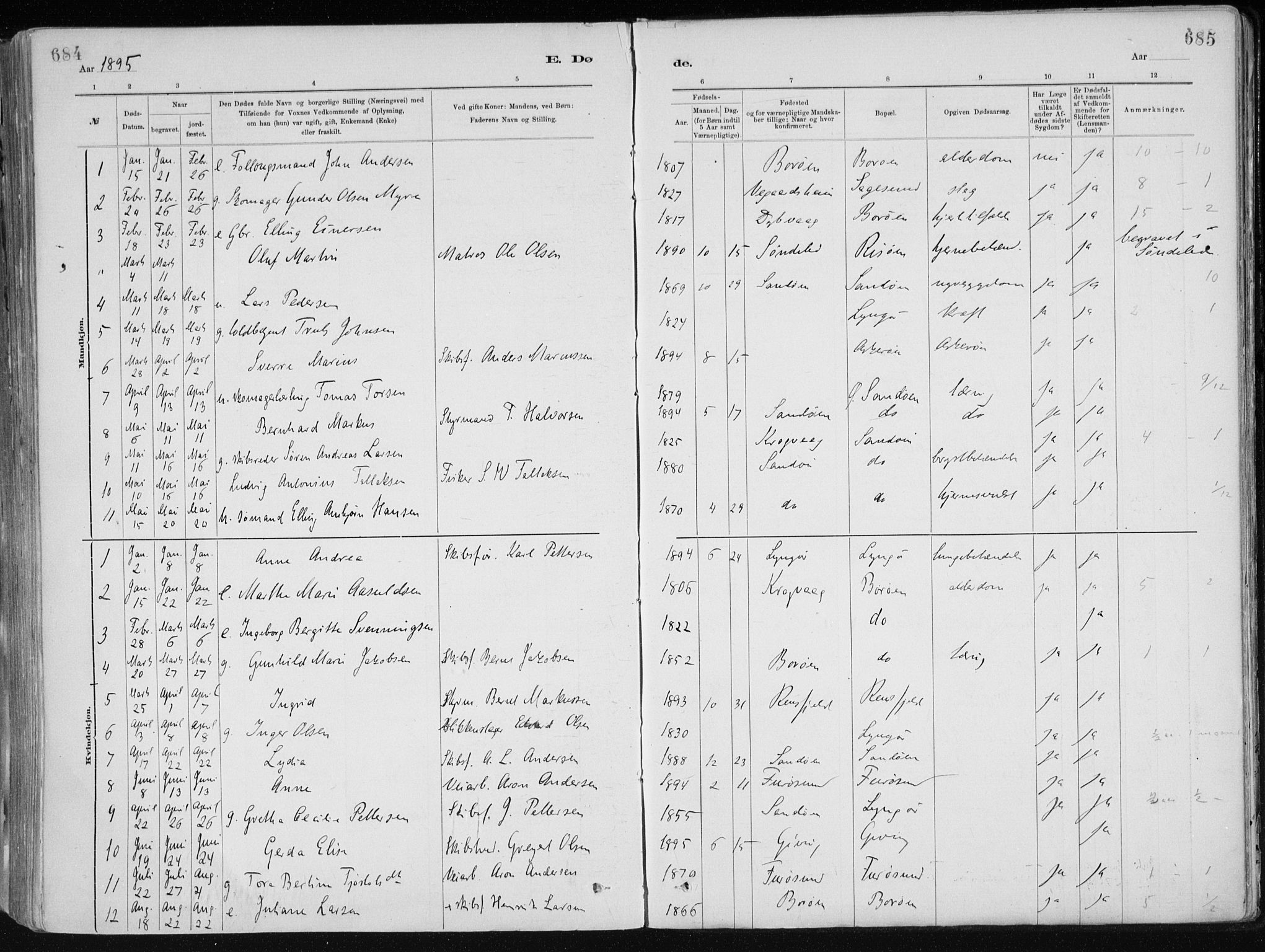 Dypvåg sokneprestkontor, SAK/1111-0007/F/Fa/Faa/L0008: Parish register (official) no. A 8, 1885-1906, p. 684-685