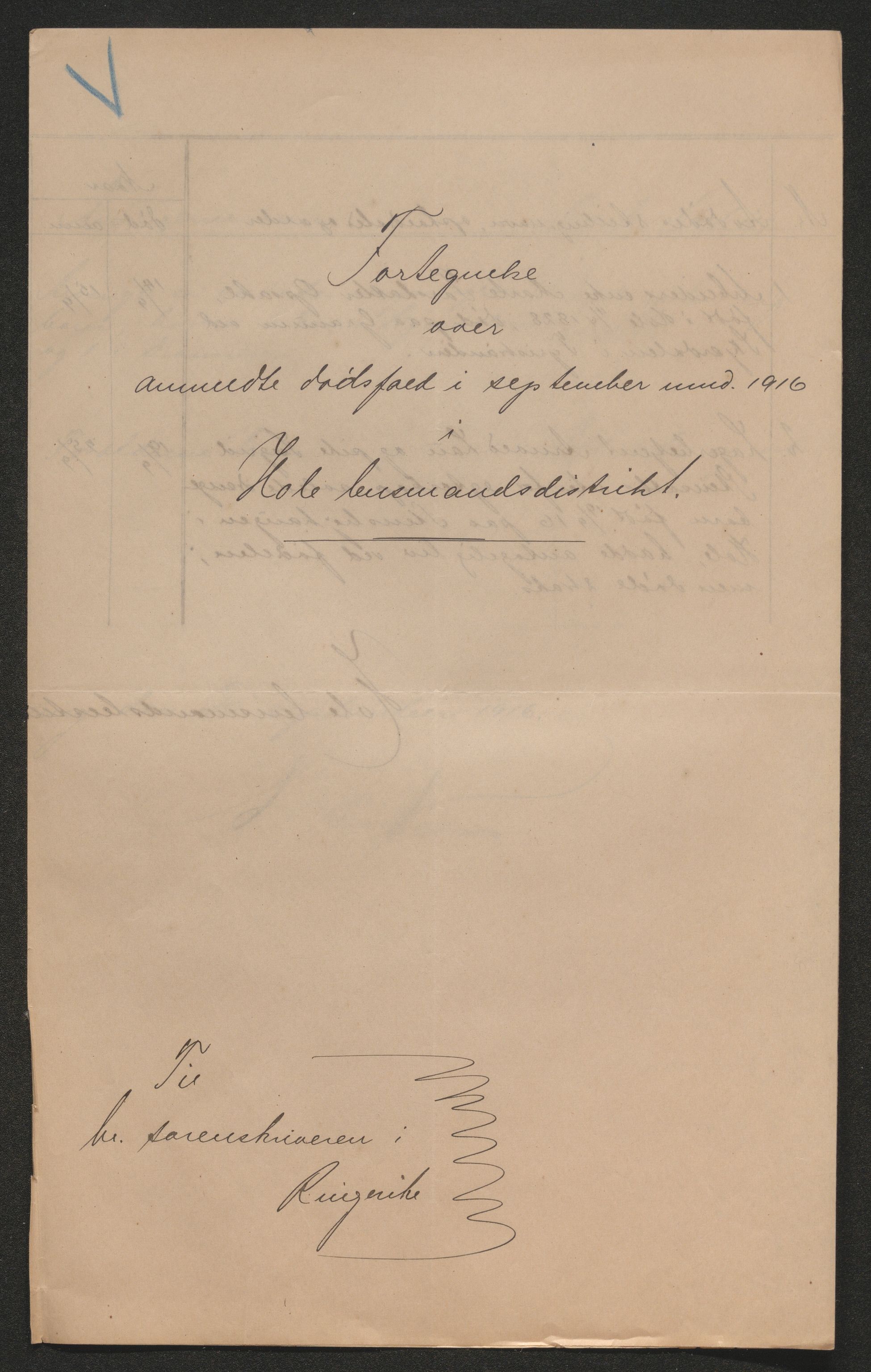 Ringerike sorenskriveri, AV/SAKO-A-105/H/Ha/Hab/L0019: Dødsfallslister Hole, 1842-1917