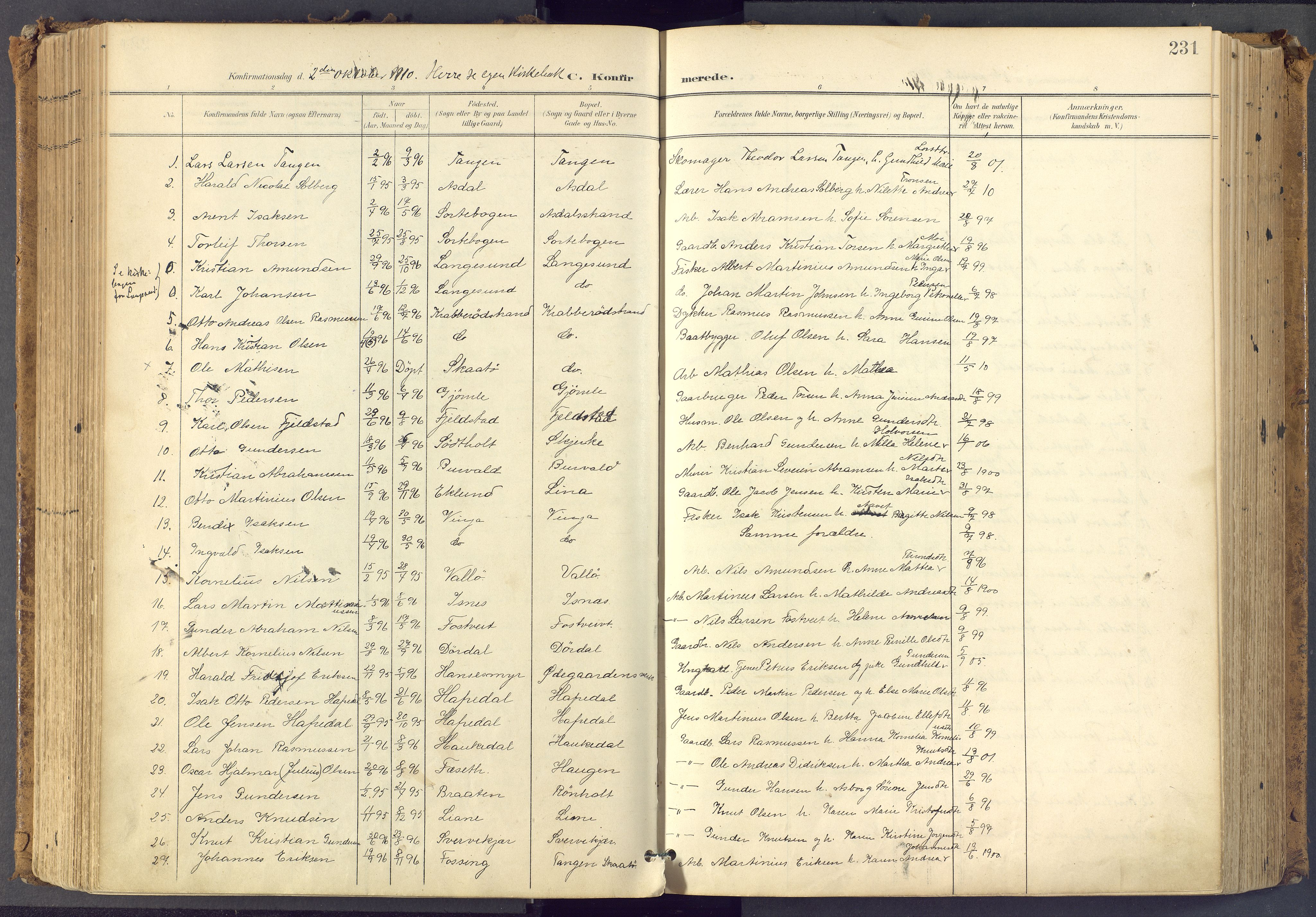 Bamble kirkebøker, SAKO/A-253/F/Fa/L0009: Parish register (official) no. I 9, 1901-1917, p. 231