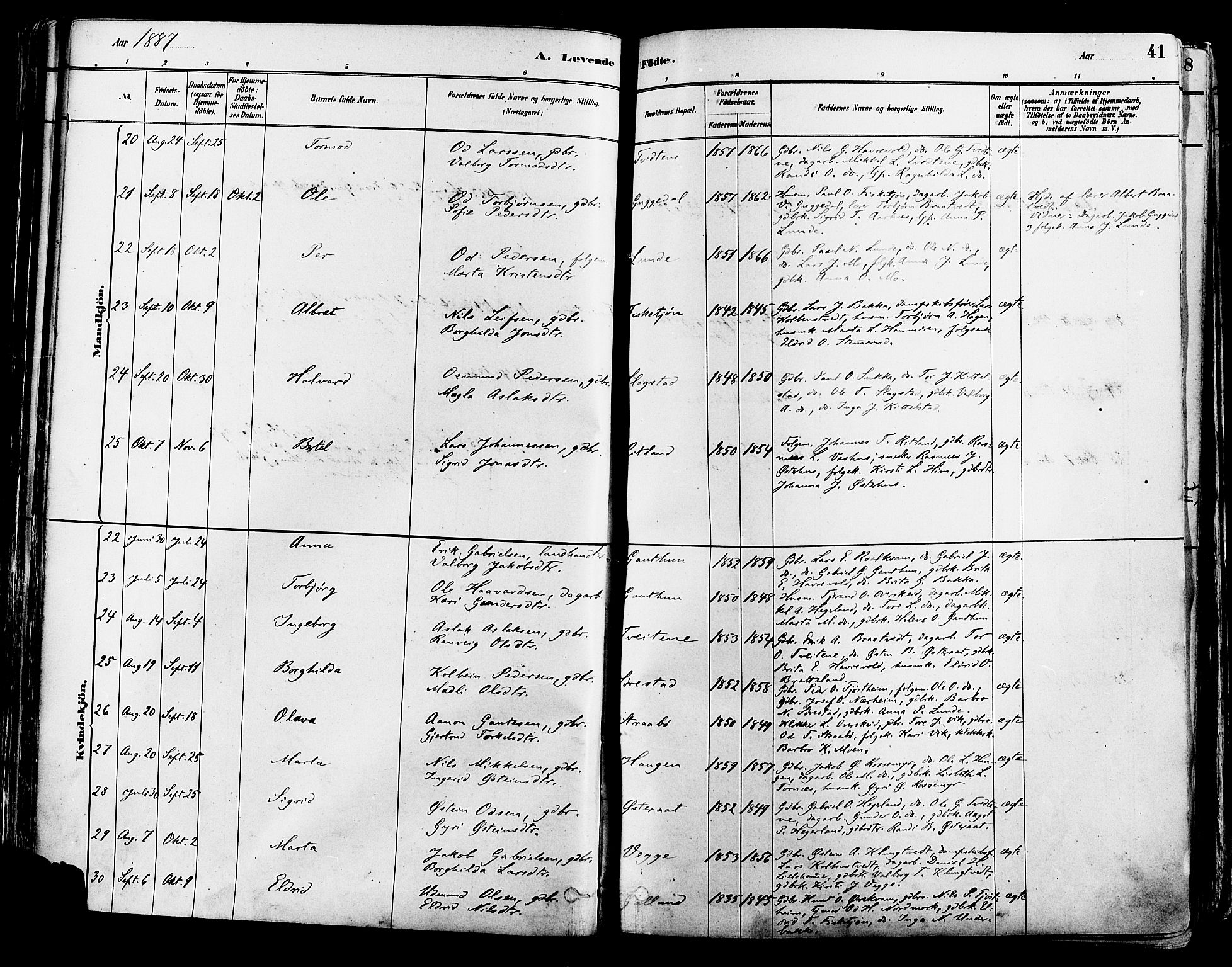 Suldal sokneprestkontor, AV/SAST-A-101845/01/IV/L0011: Parish register (official) no. A 11, 1878-1900, p. 41